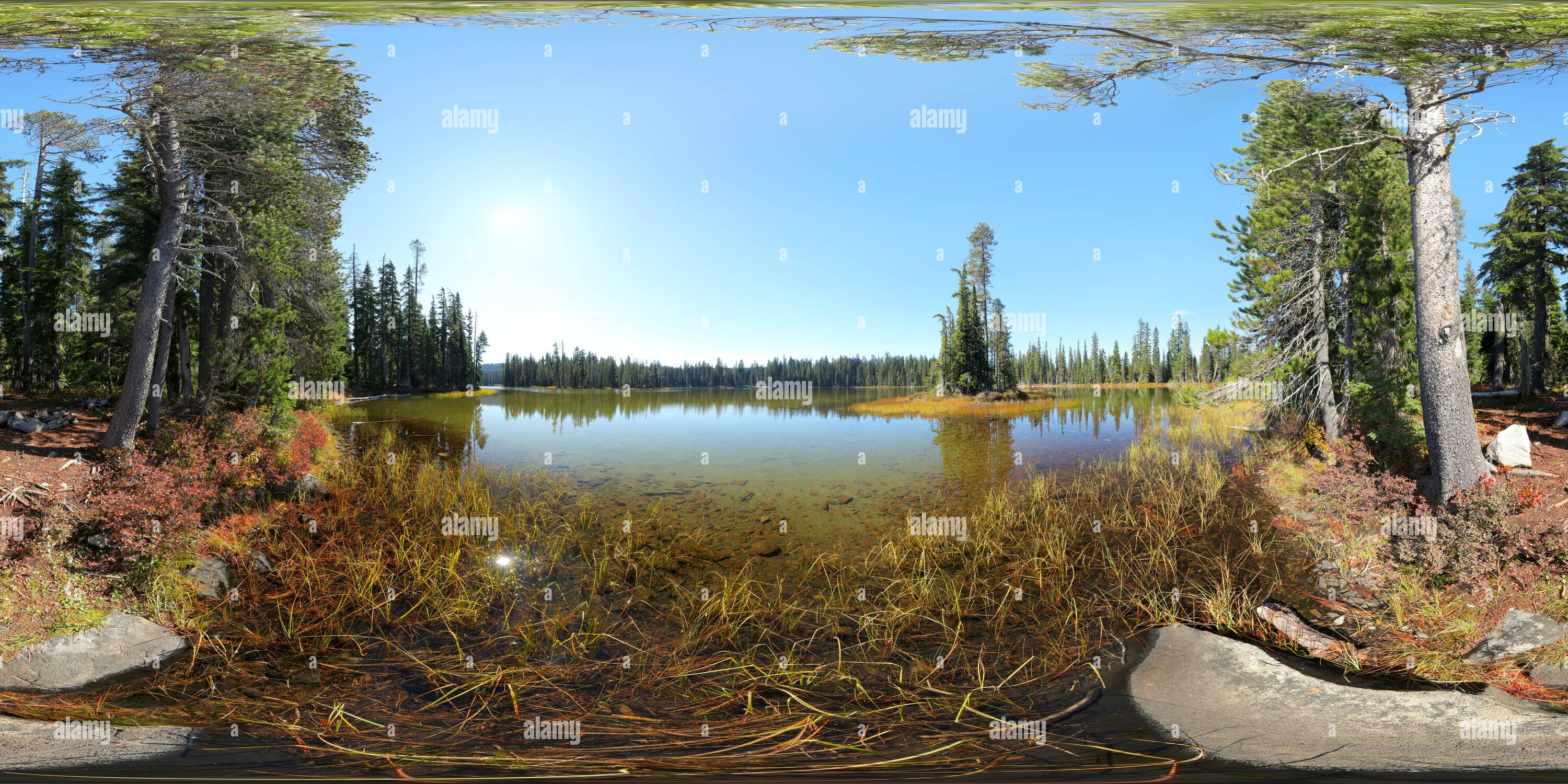 360 degree panoramic view of Island Lake [1]