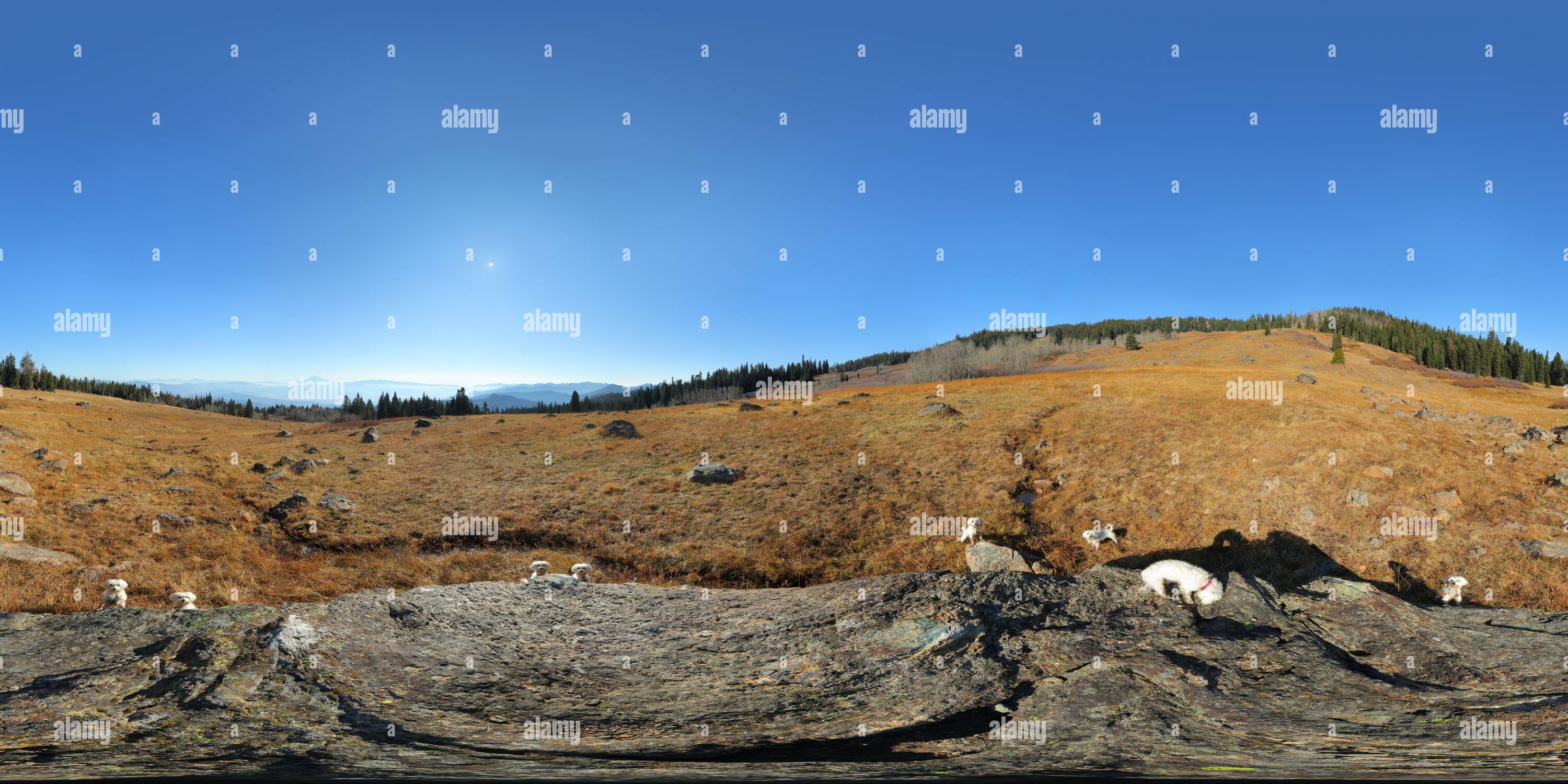 360° view of Big Meadows [1] Alamy