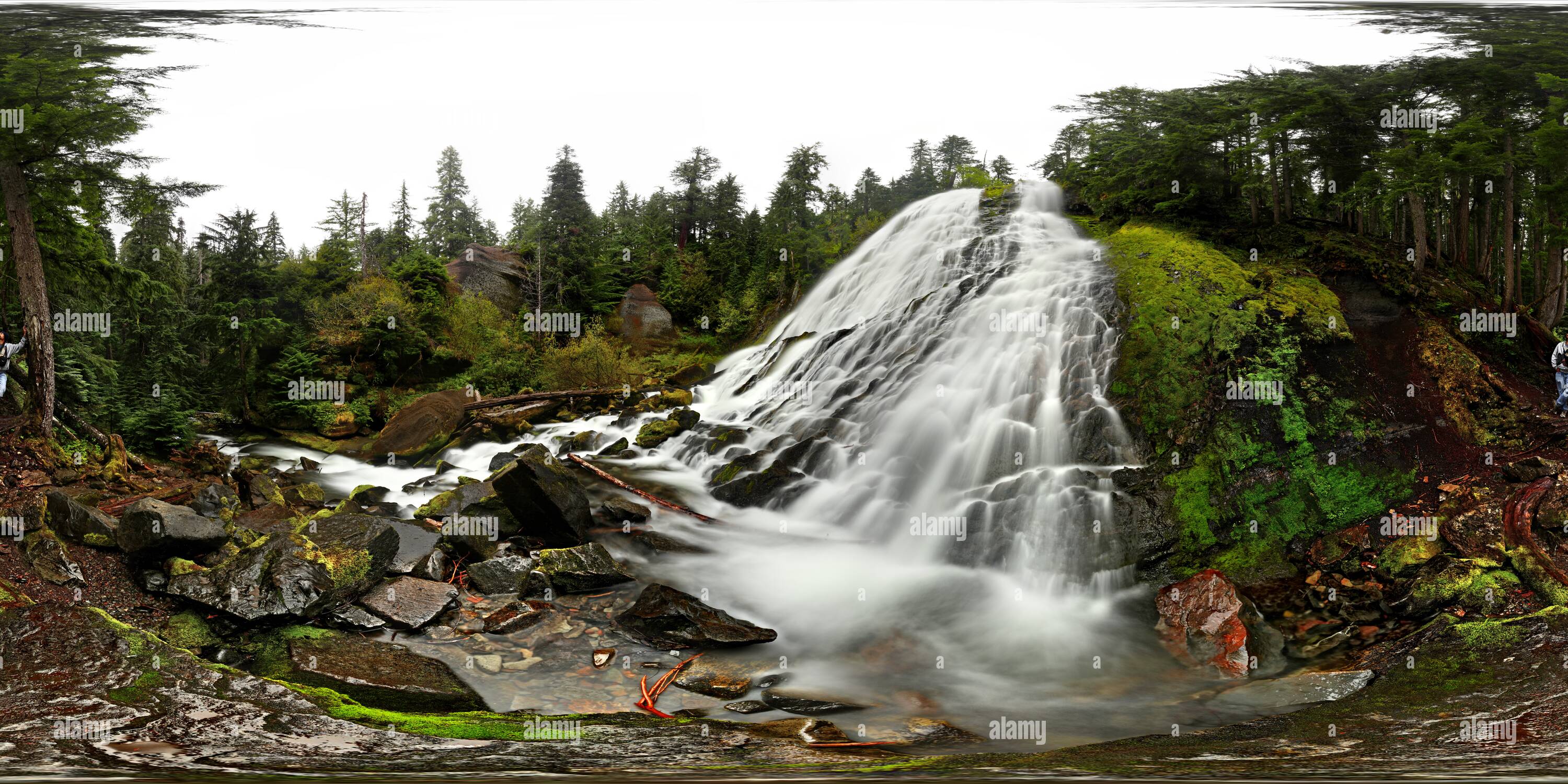 360 degree panoramic view of Diamond Creek Falls