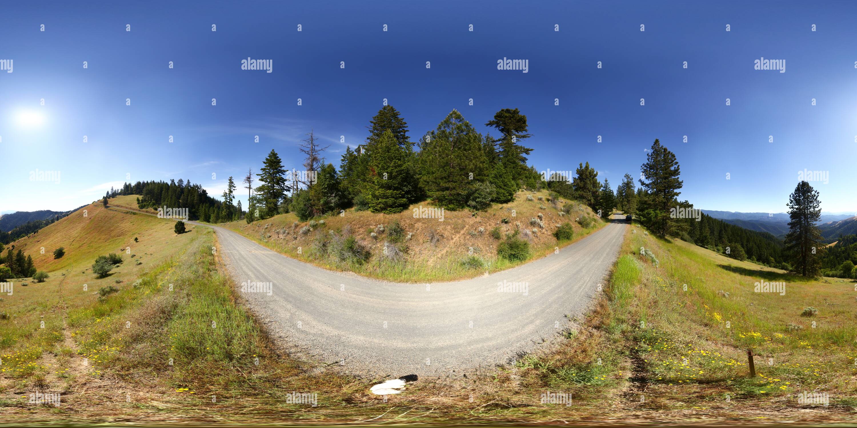 360 degree panoramic view of Anderson Butte Road