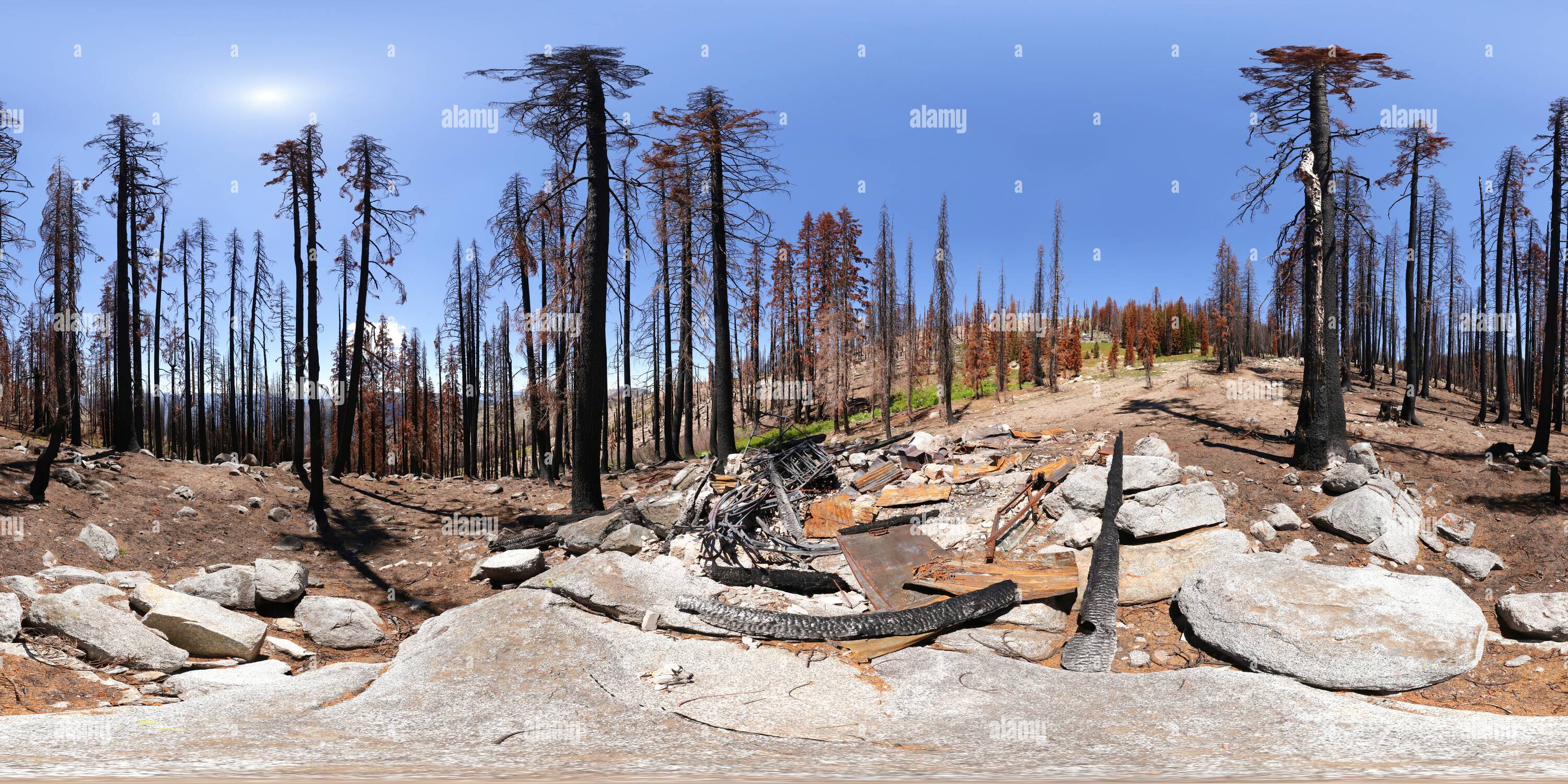 Tom Taylor High Resolution Stock Photography and Images Alamy