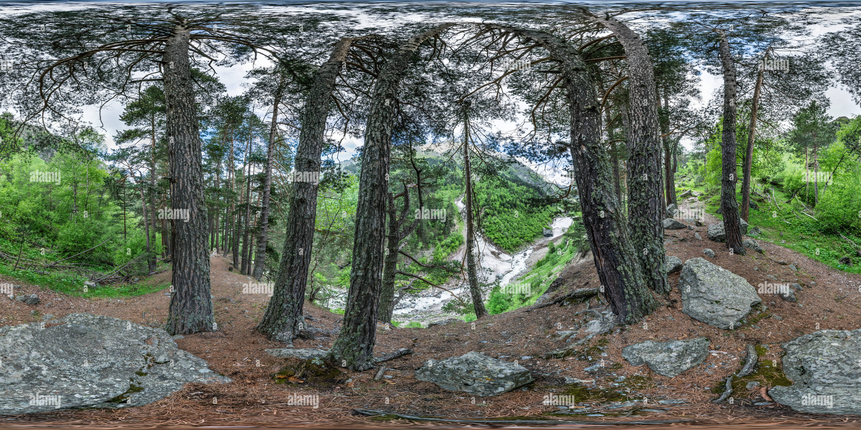 360 degree panoramic view of Under the Pines (Panorama 294 2015/06/13)
