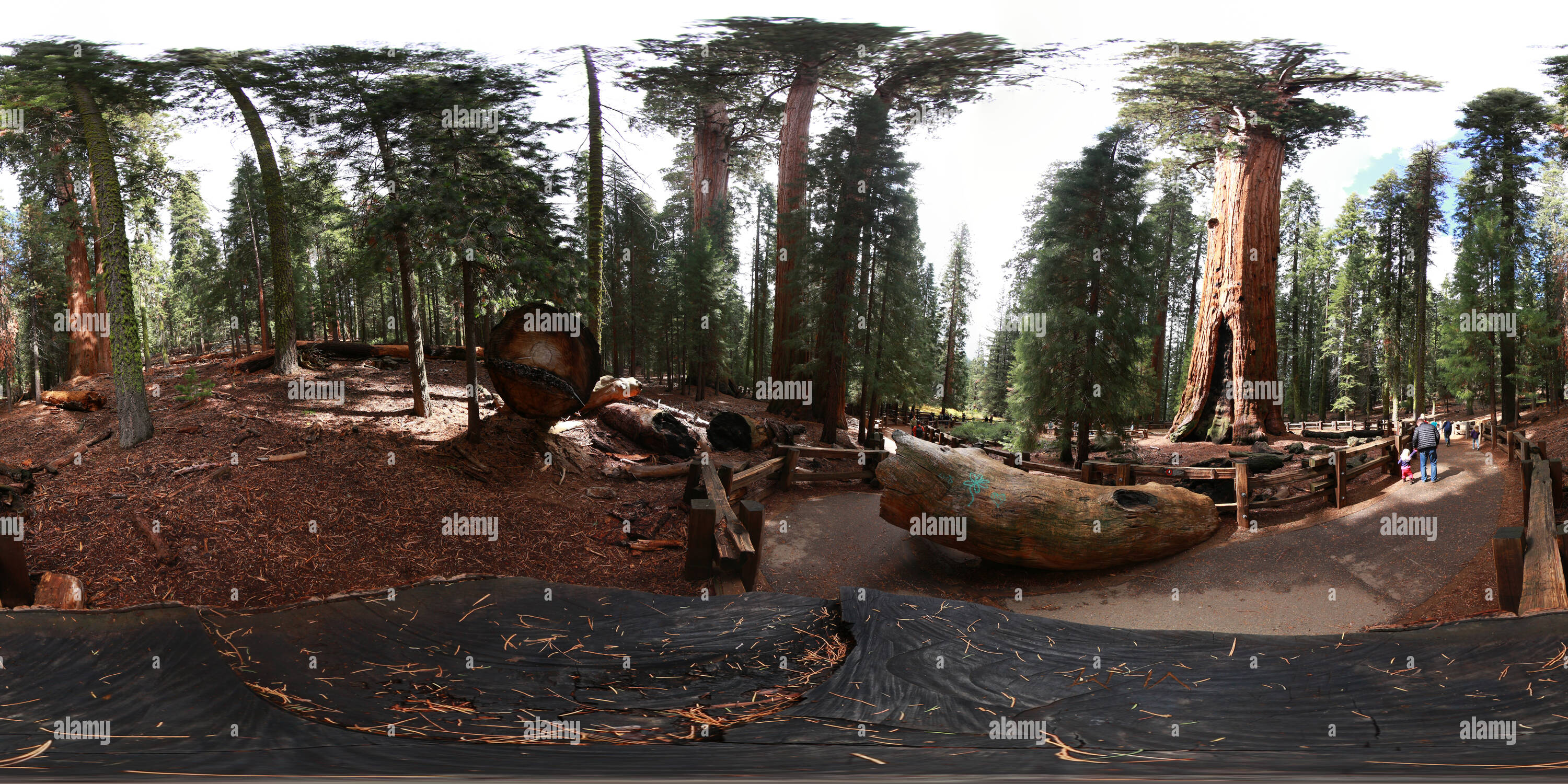360 degree panoramic view of General Sherman's stump speech