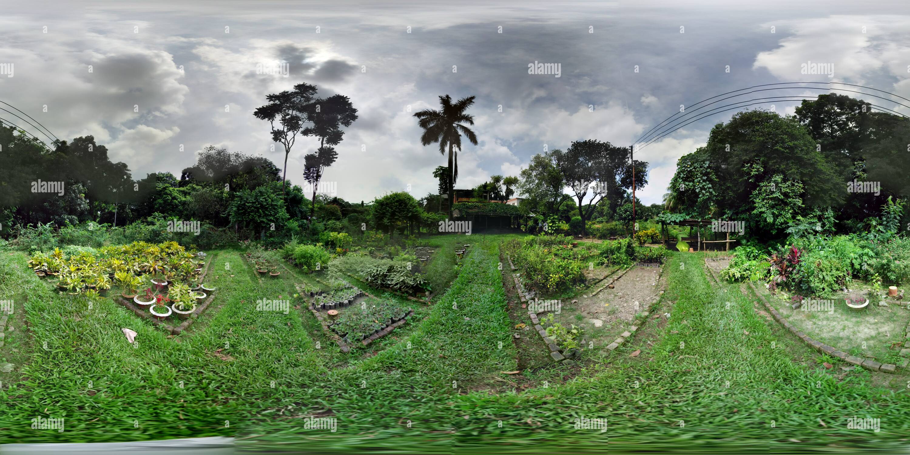 360° view of Botanical Garden Nursery Alamy