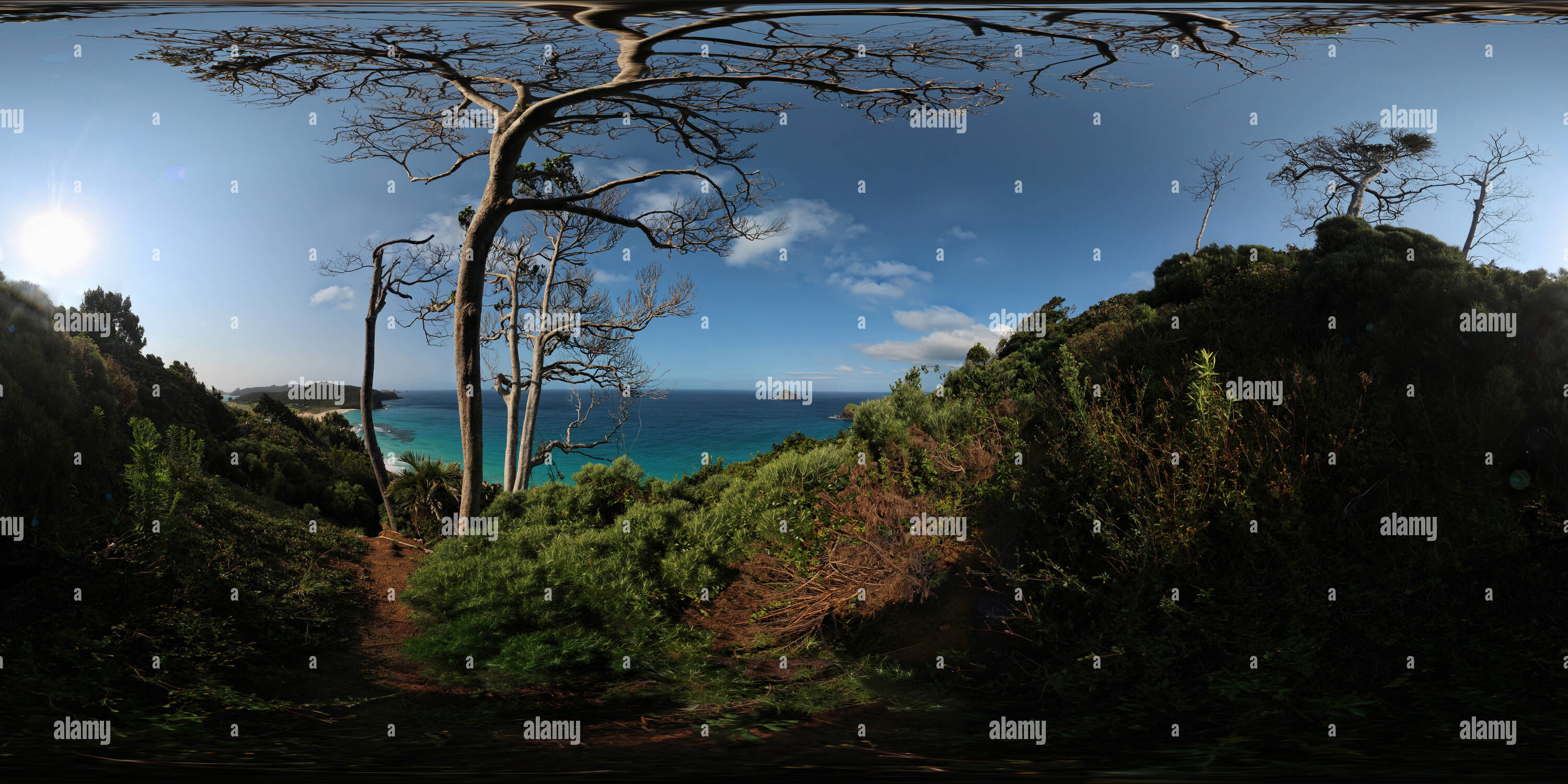 360° view of Lord Howe Island, view from coastal track Alamy