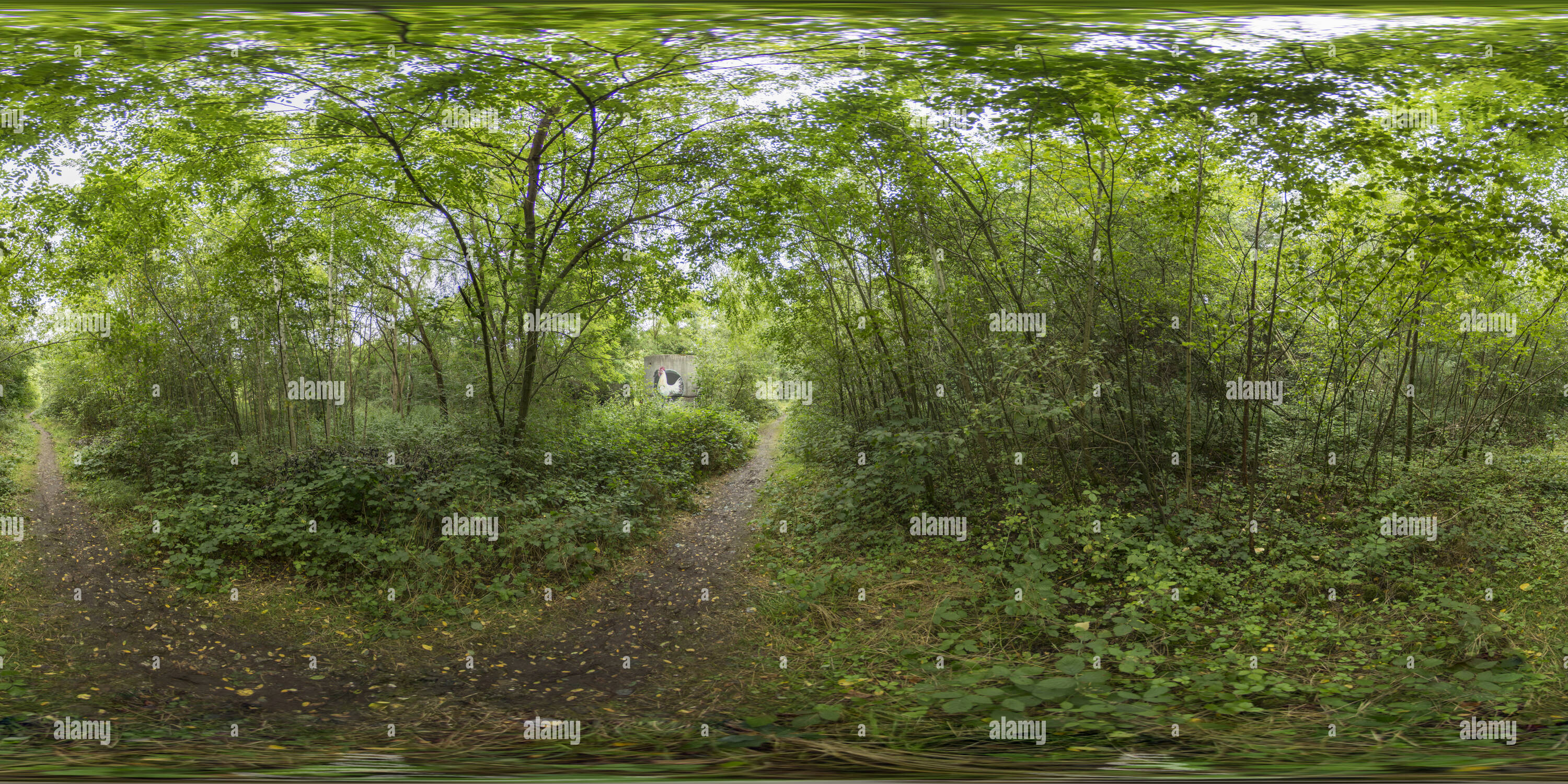 360° view of Wood Art Gallery, artist Anat Ronen Alamy