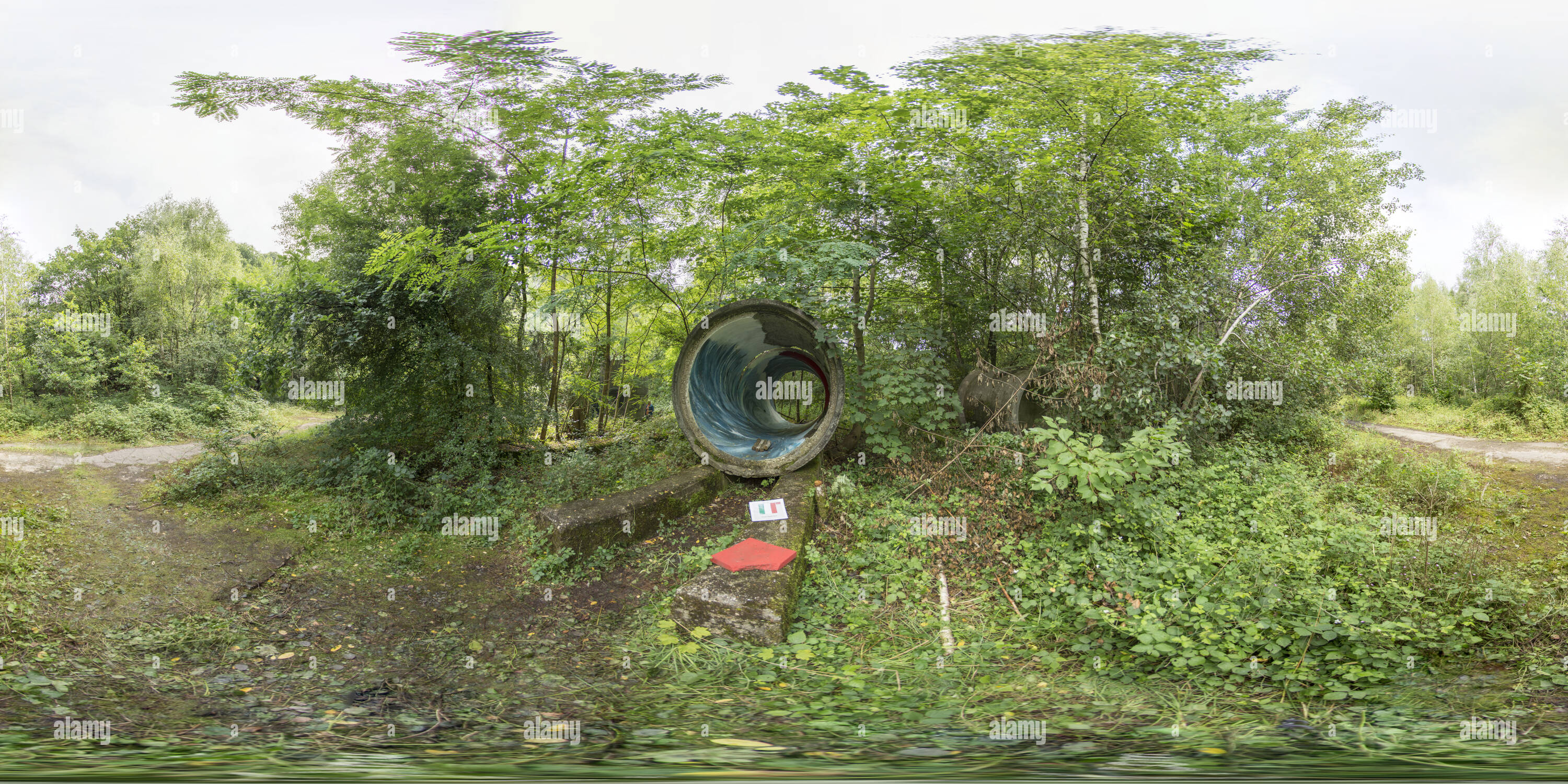 360° view of Wood Art Gallery, Krefeld, artist Victor Adolfo Boni Alamy