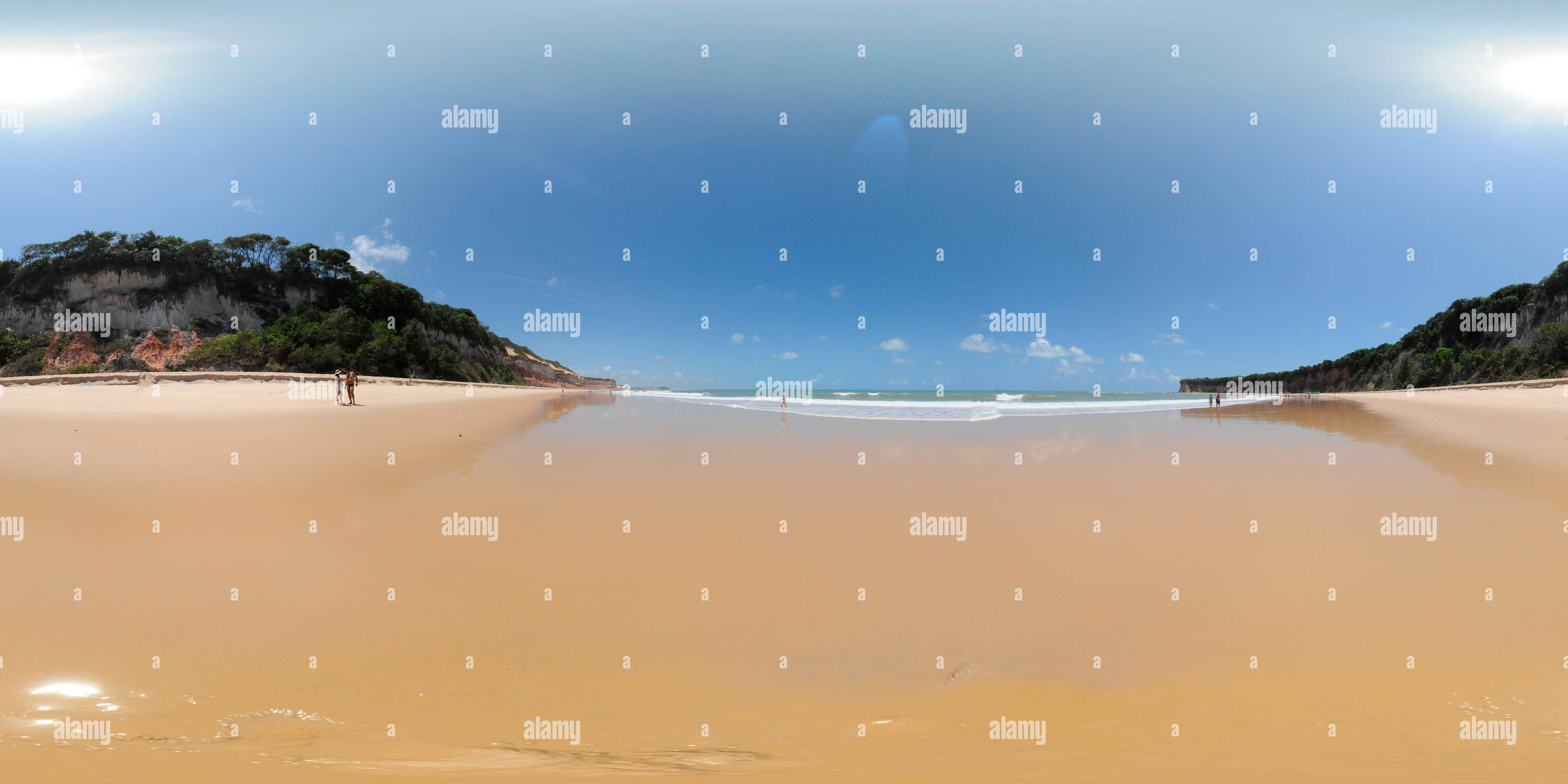 Dolphin bay brazil hi-res stock photography and images - Alamy