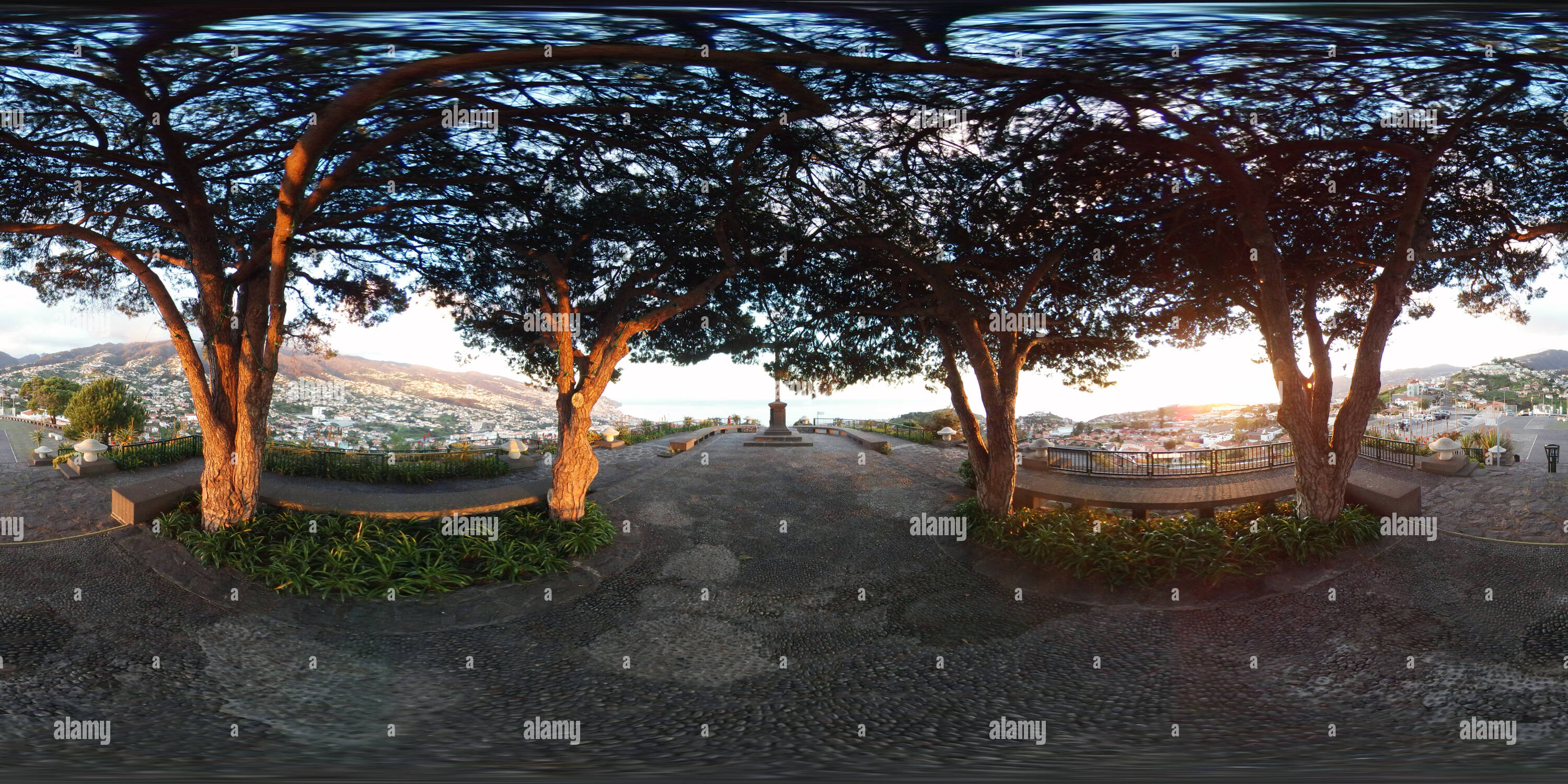 360 degree panoramic view of Between the trees on Pico dos Barcelos, Funchal