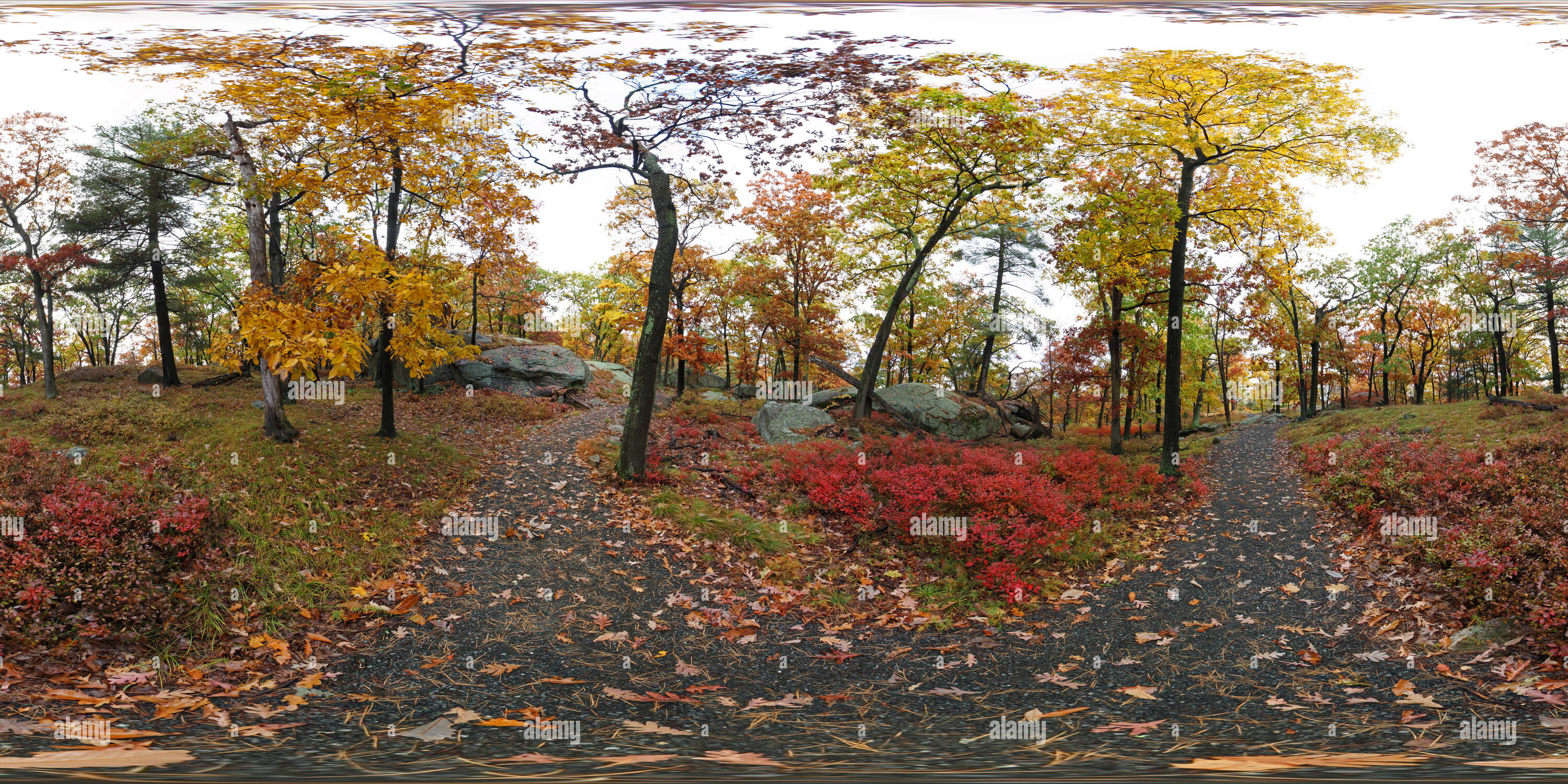 360° view of Applalchian Trail Bear Mountain State Park NY - Alamy