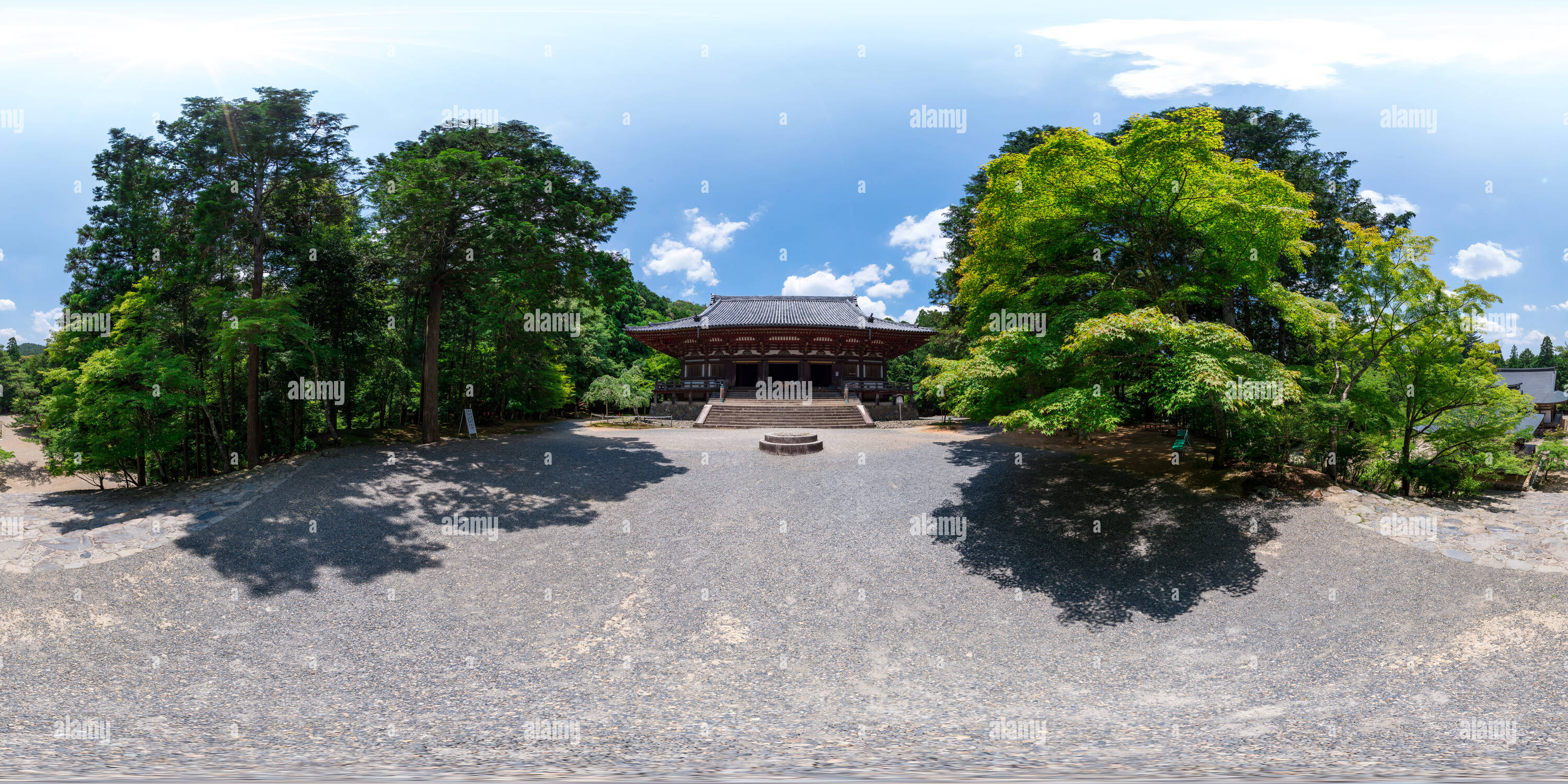 360 degree panoramic view of Beautiful fresh green Jingo-ji in Kyoto, Japan 08