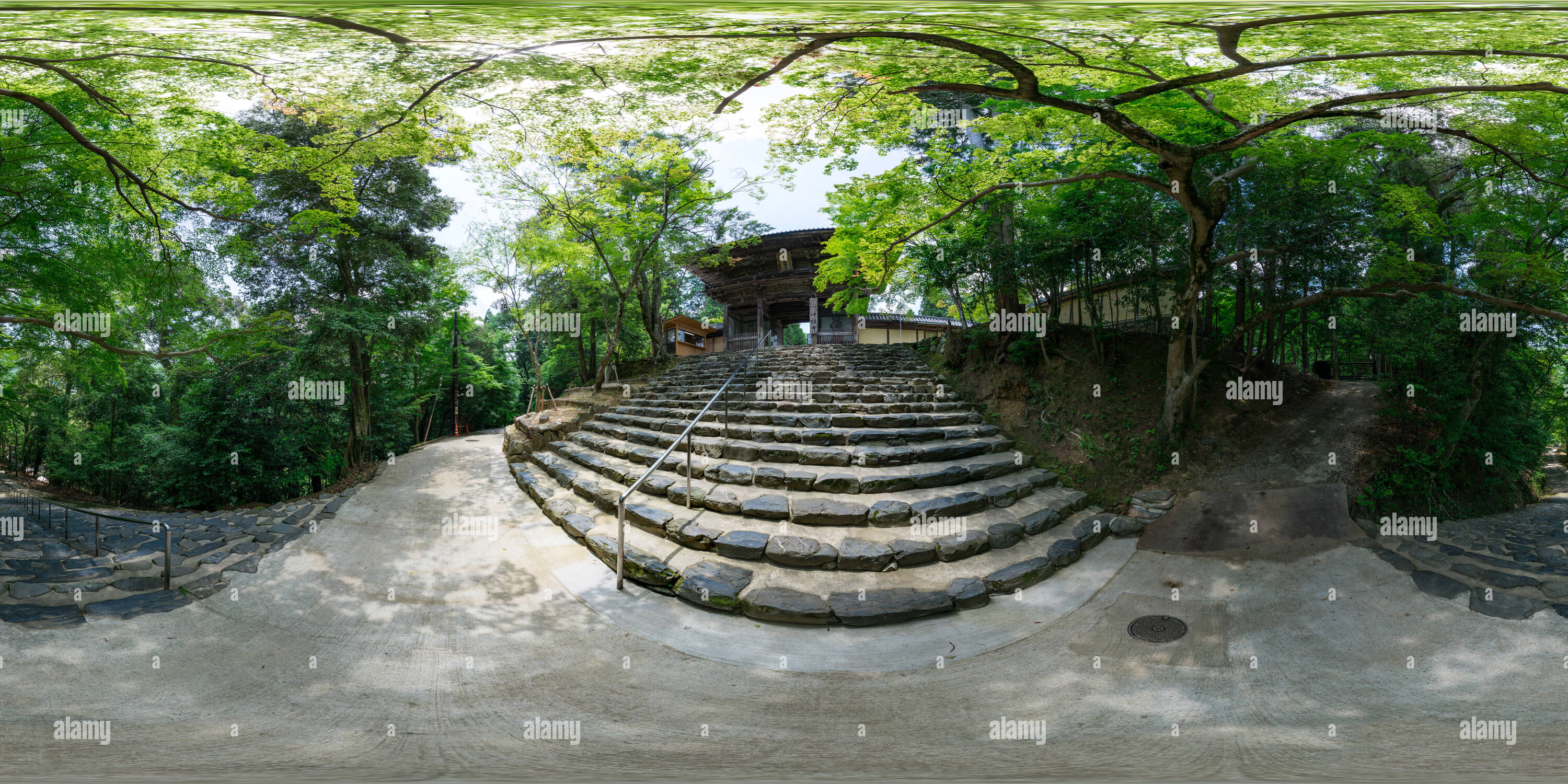 360 degree panoramic view of Beautiful fresh green Jingo-ji in Kyoto, Japan 03