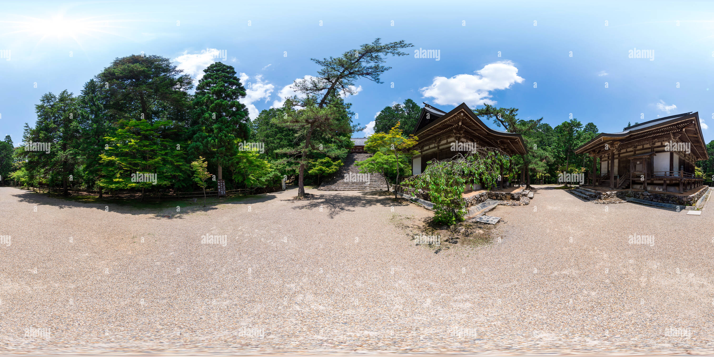 360 degree panoramic view of Beautiful fresh green Jingo-ji in Kyoto, Japan 06