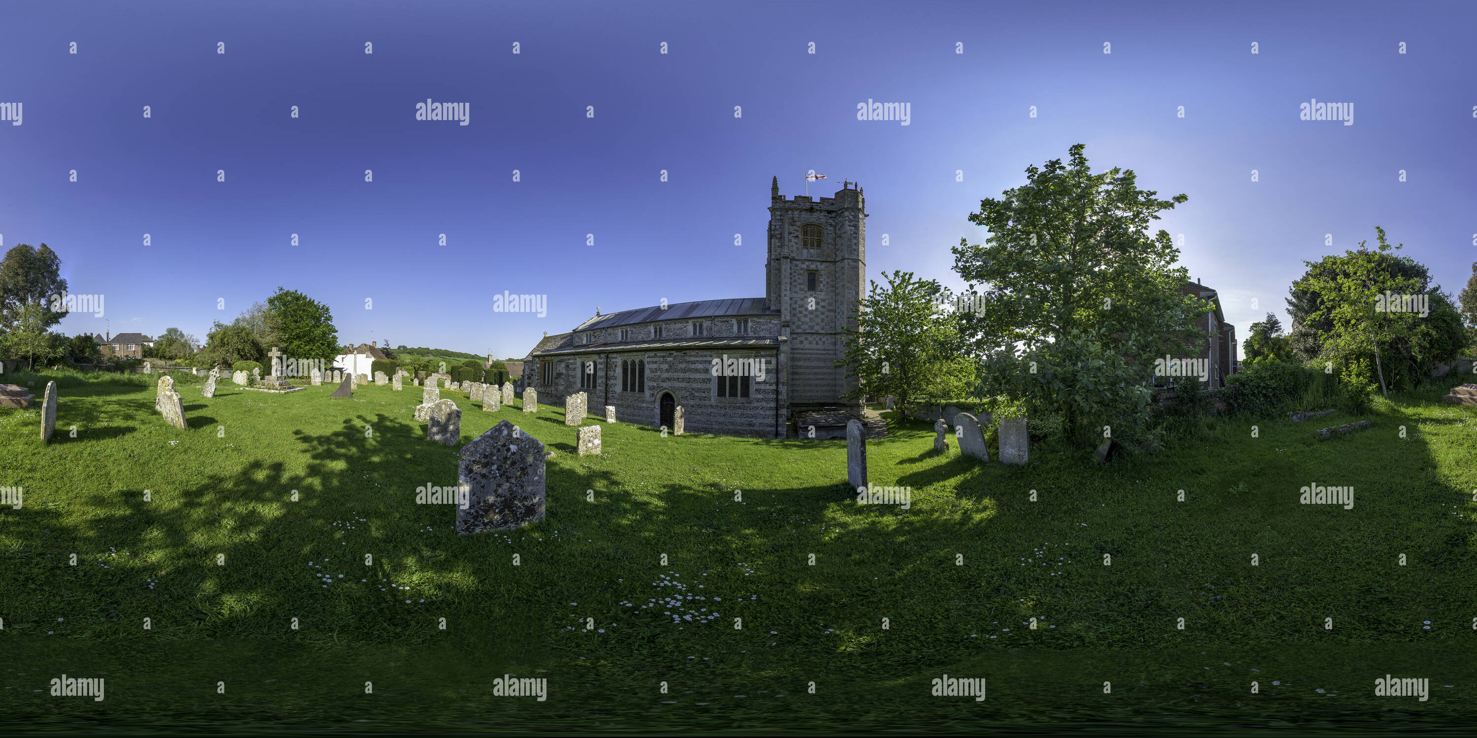 Bere regis hires stock photography and images Alamy