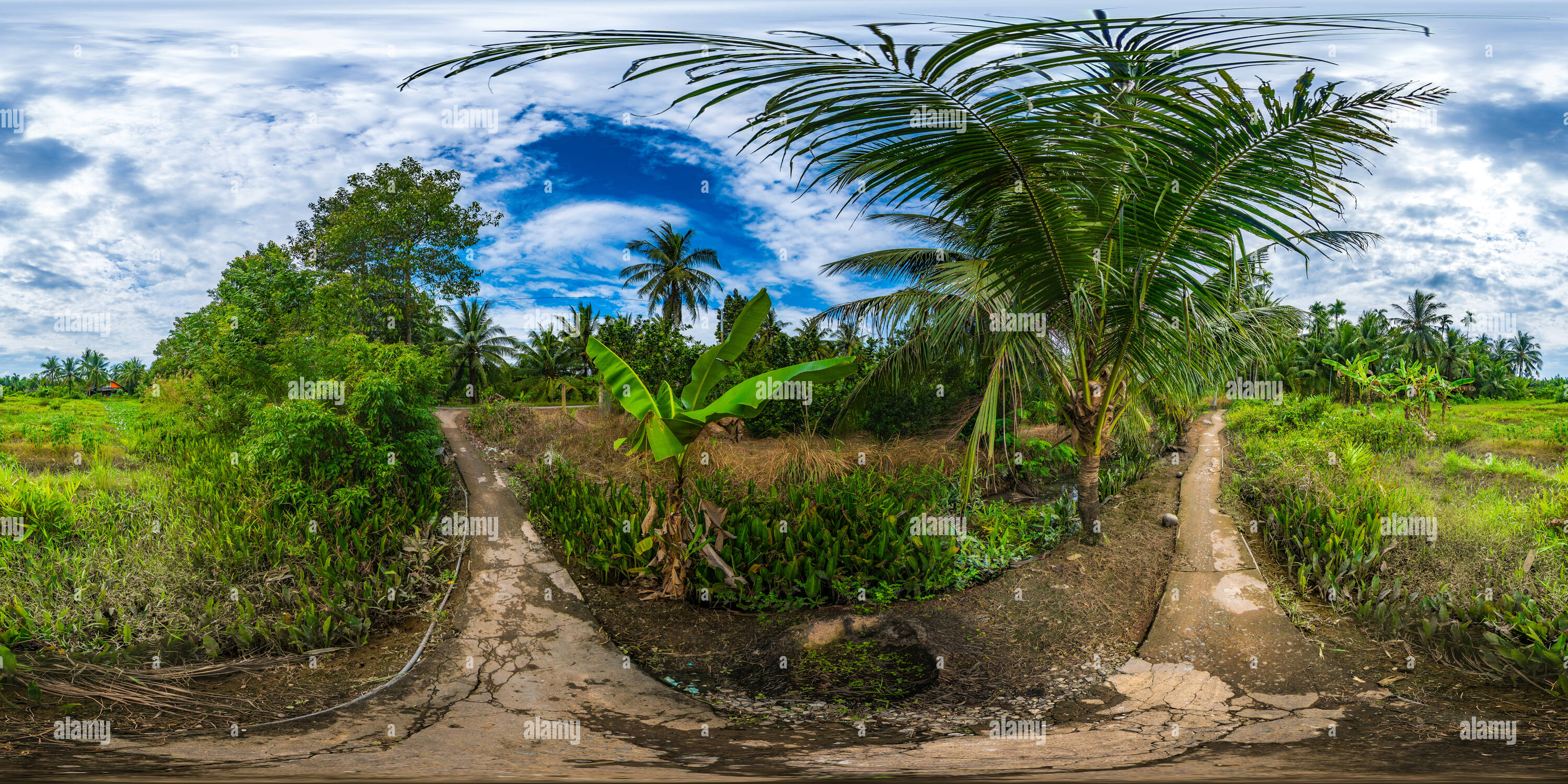 360 degree panoramic view of Mekongdelta, Agriculture, Tinh Ben Tre, Vietnam