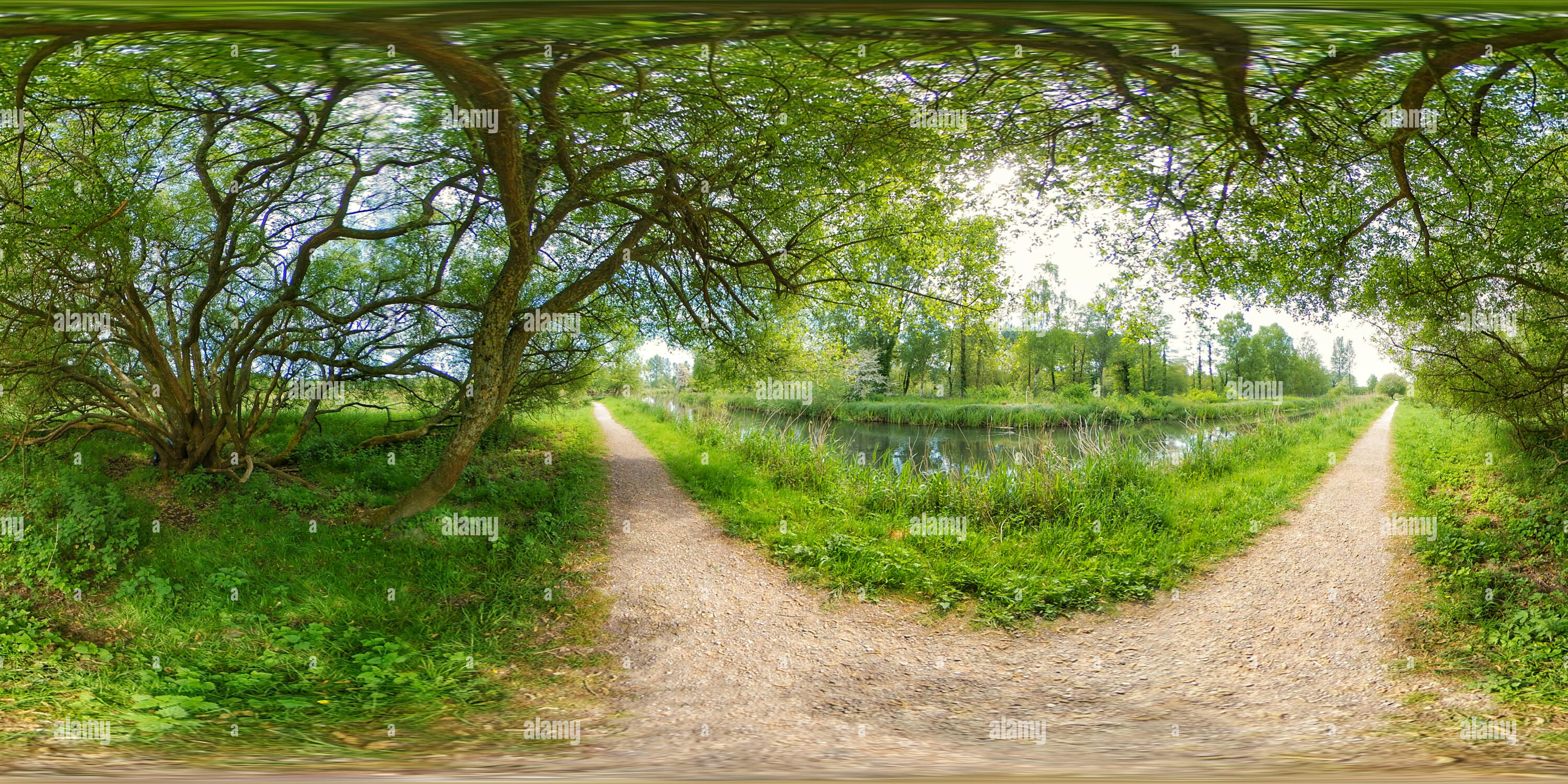 360 degree panoramic view of River Itchen at Winnall Moors Nature Reserve in Winchester