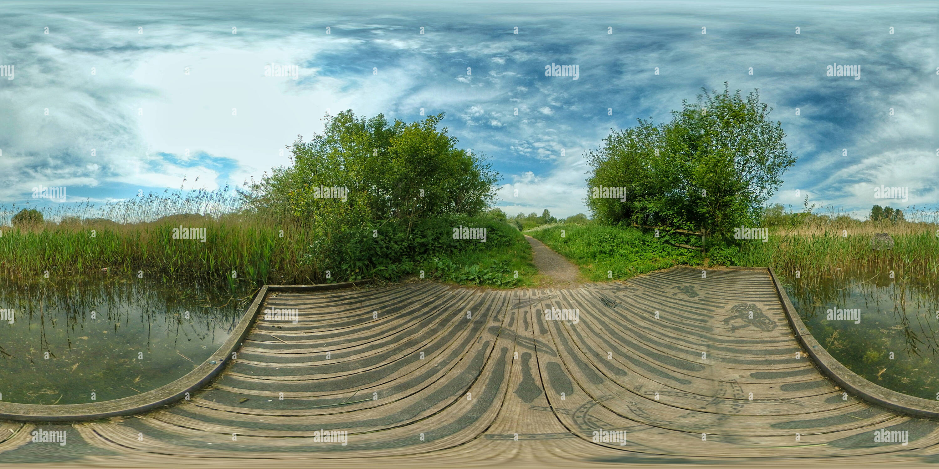 360 degree panoramic view of Winnall Moors Nature Reserve pond