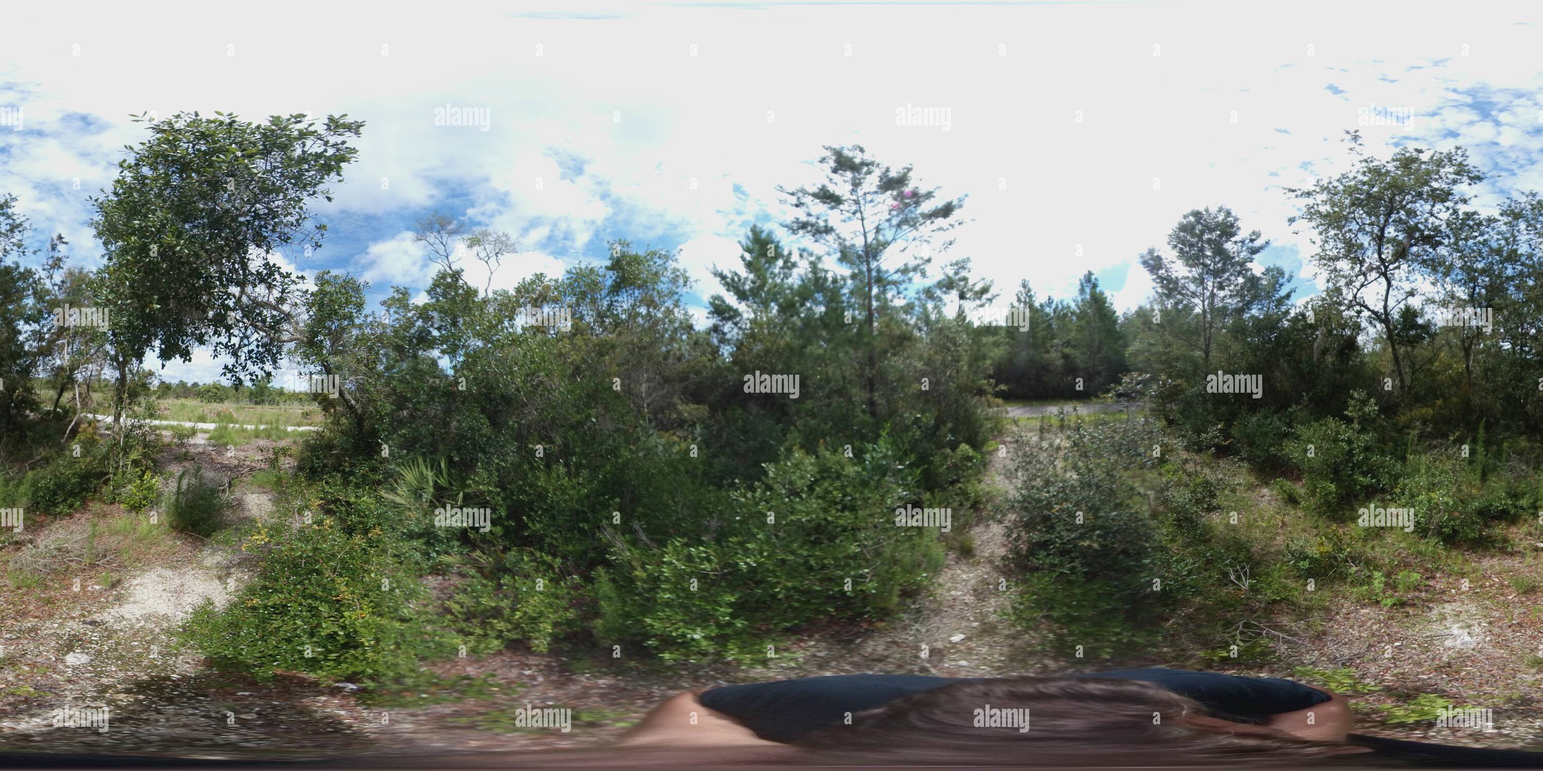 360° view of Blue Springs Trail Alamy
