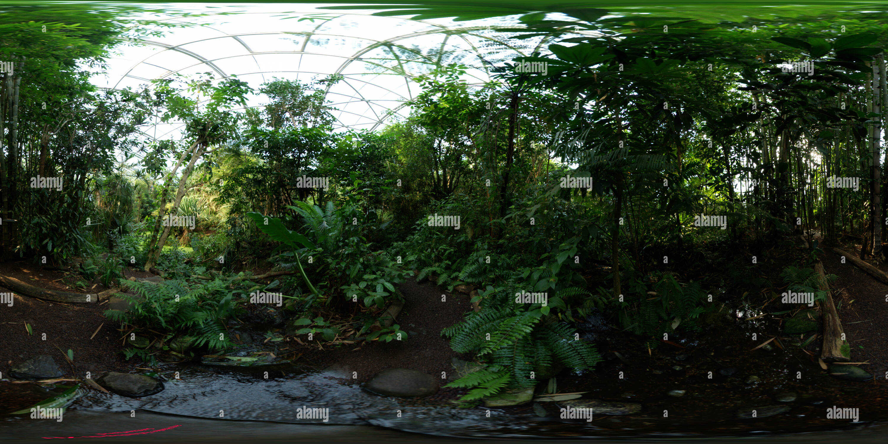 360° view of Masoala Green House of the Zurich Zoo - Alamy