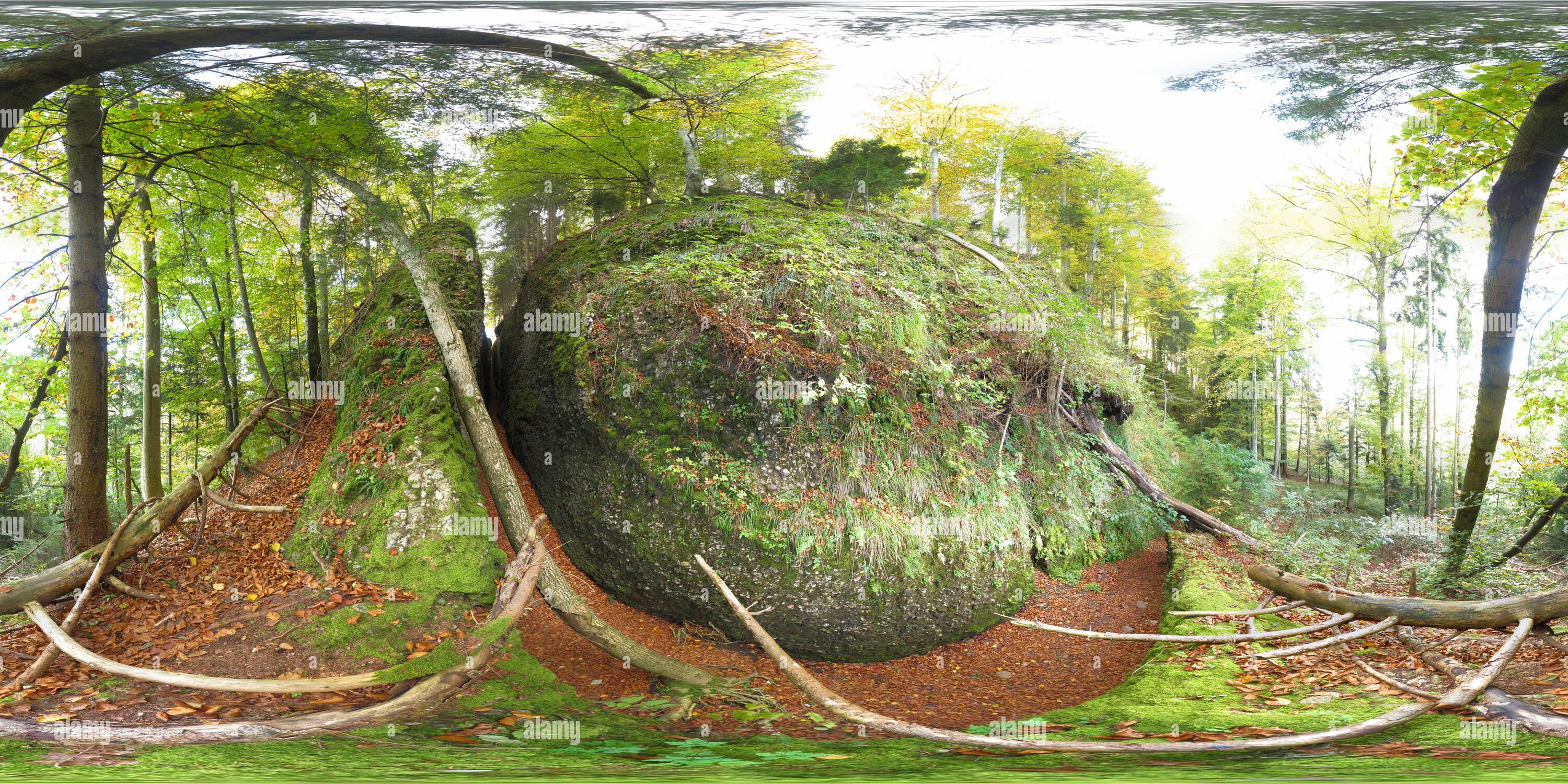 360 degree panoramic view of Bachtelspalt, chasm of bachtel, Hinwil, Wald