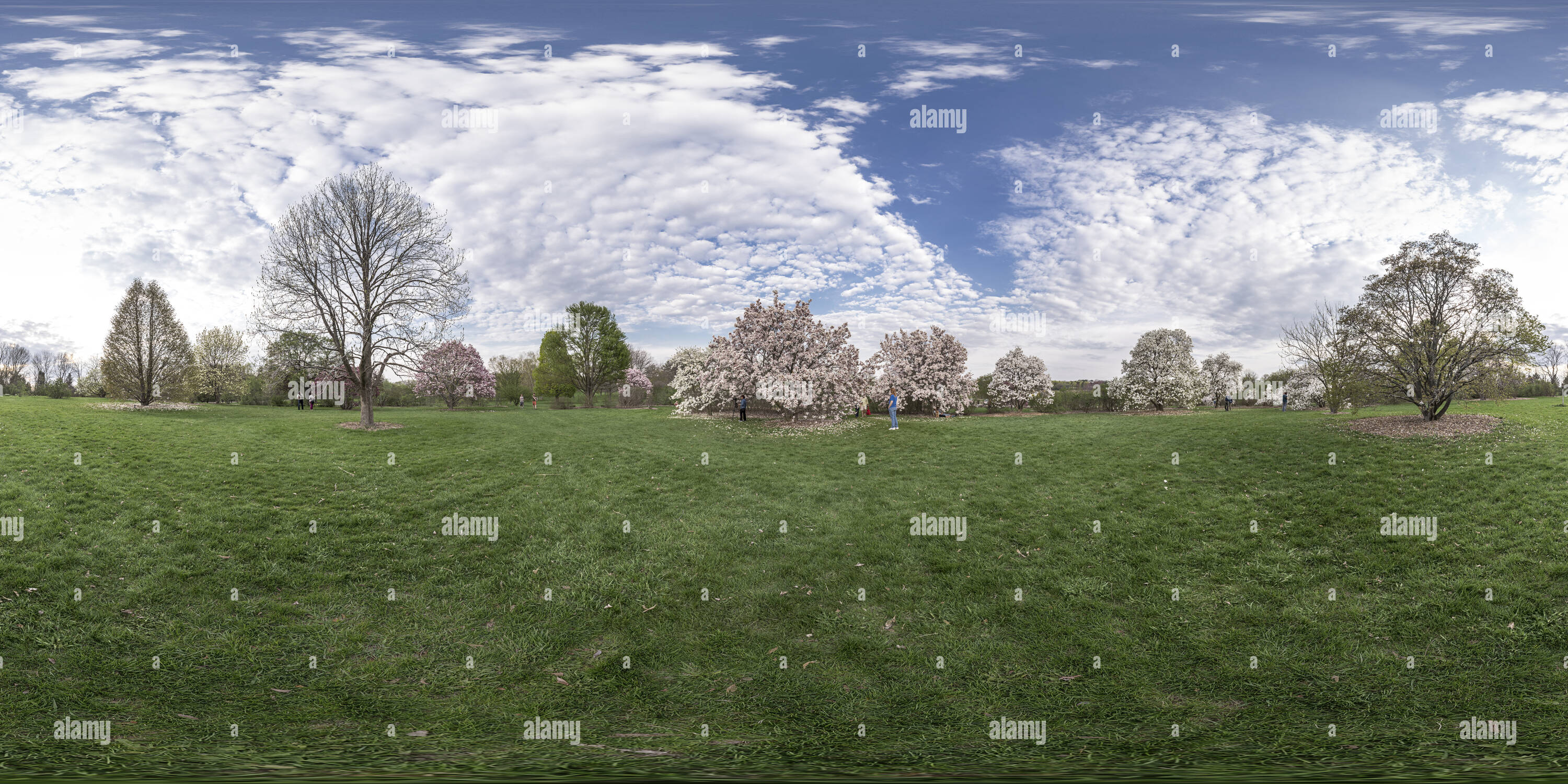 360° View Of Uw Arboretum, Madison, Wisconsin - Alamy