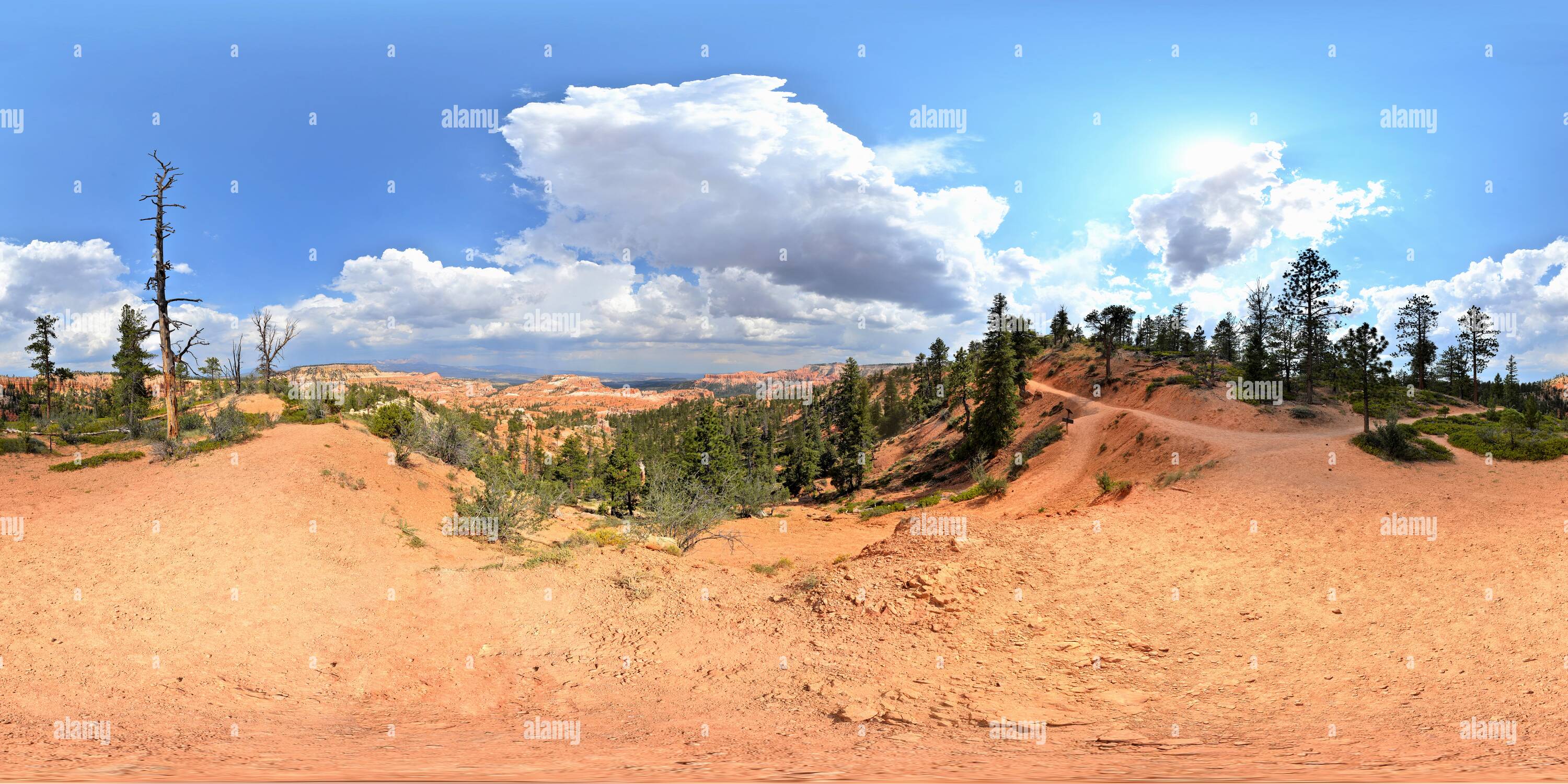 360 degree panoramic view of Bryce Canyon Rim Trail near Sunrise Point