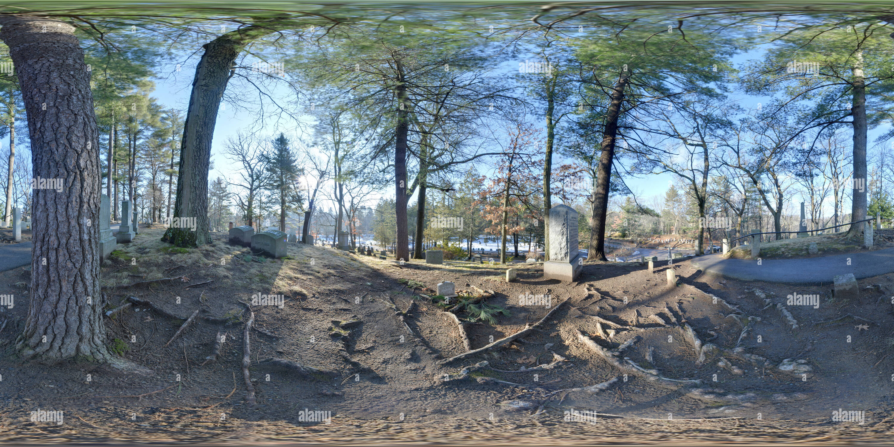 360° view of Henry David Thoreau Grave Alamy
