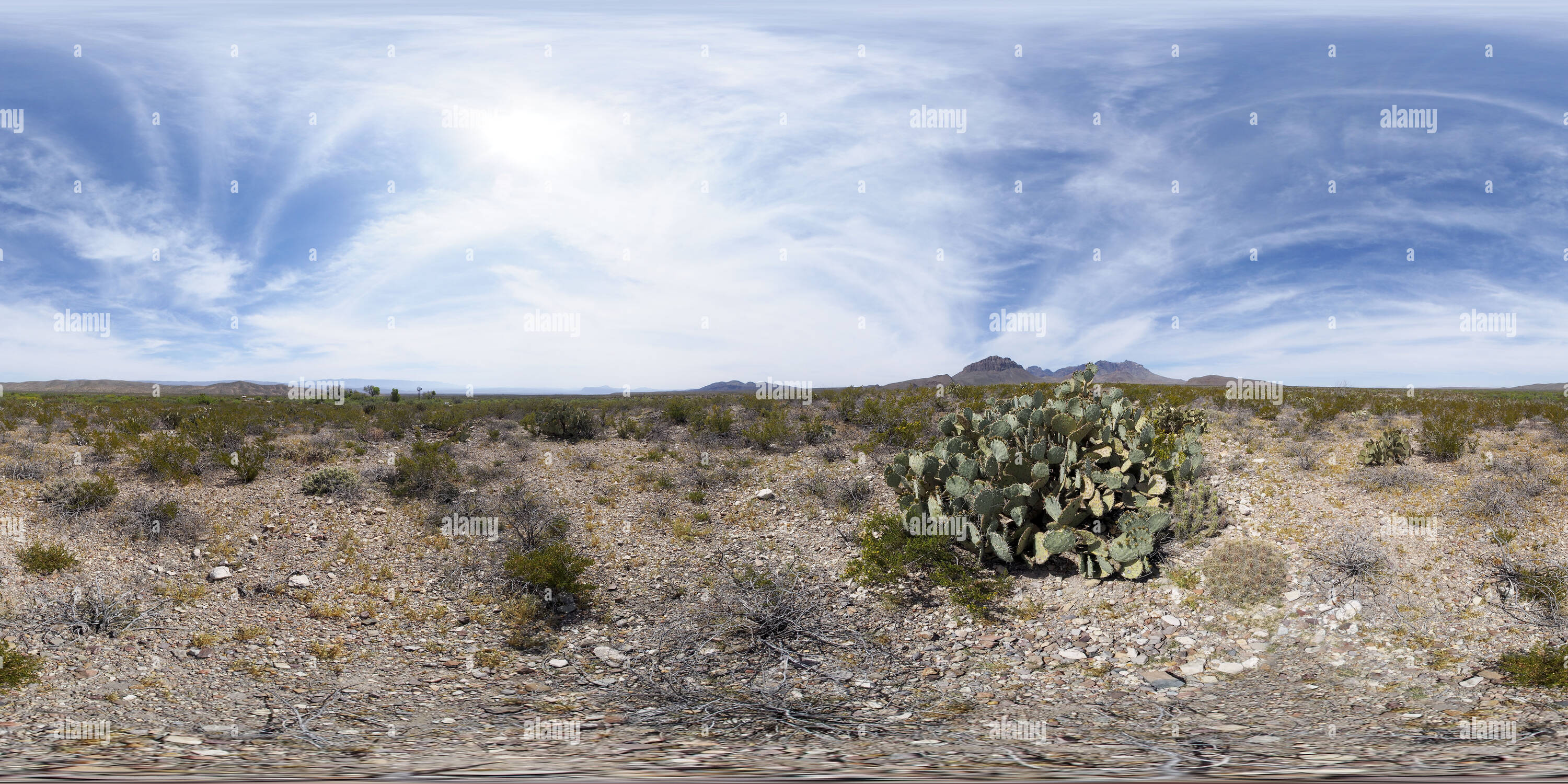 Dugout wells hires stock photography and images Alamy