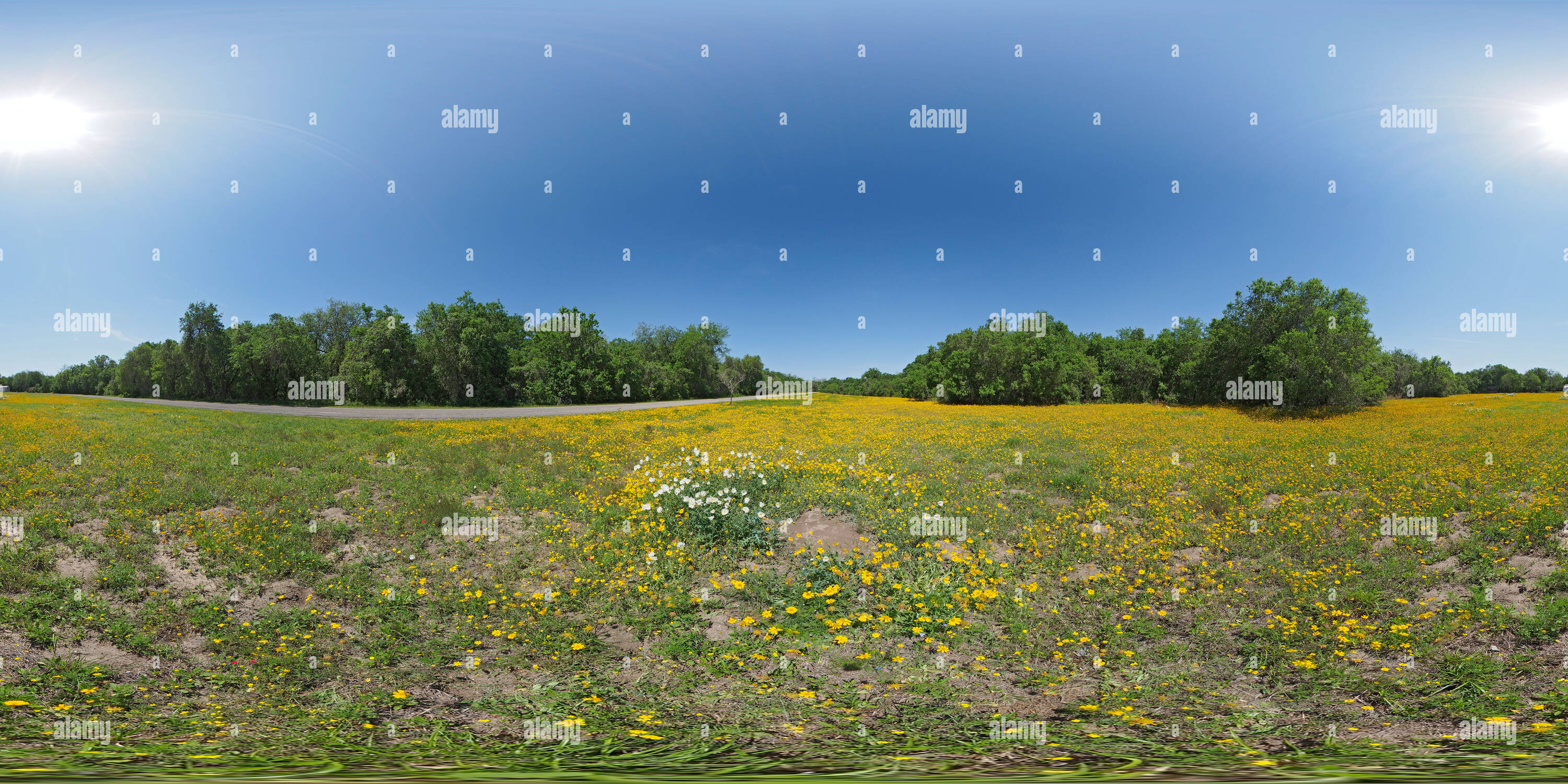 360° view of Goliad State Park on the San Antonio River Alamy