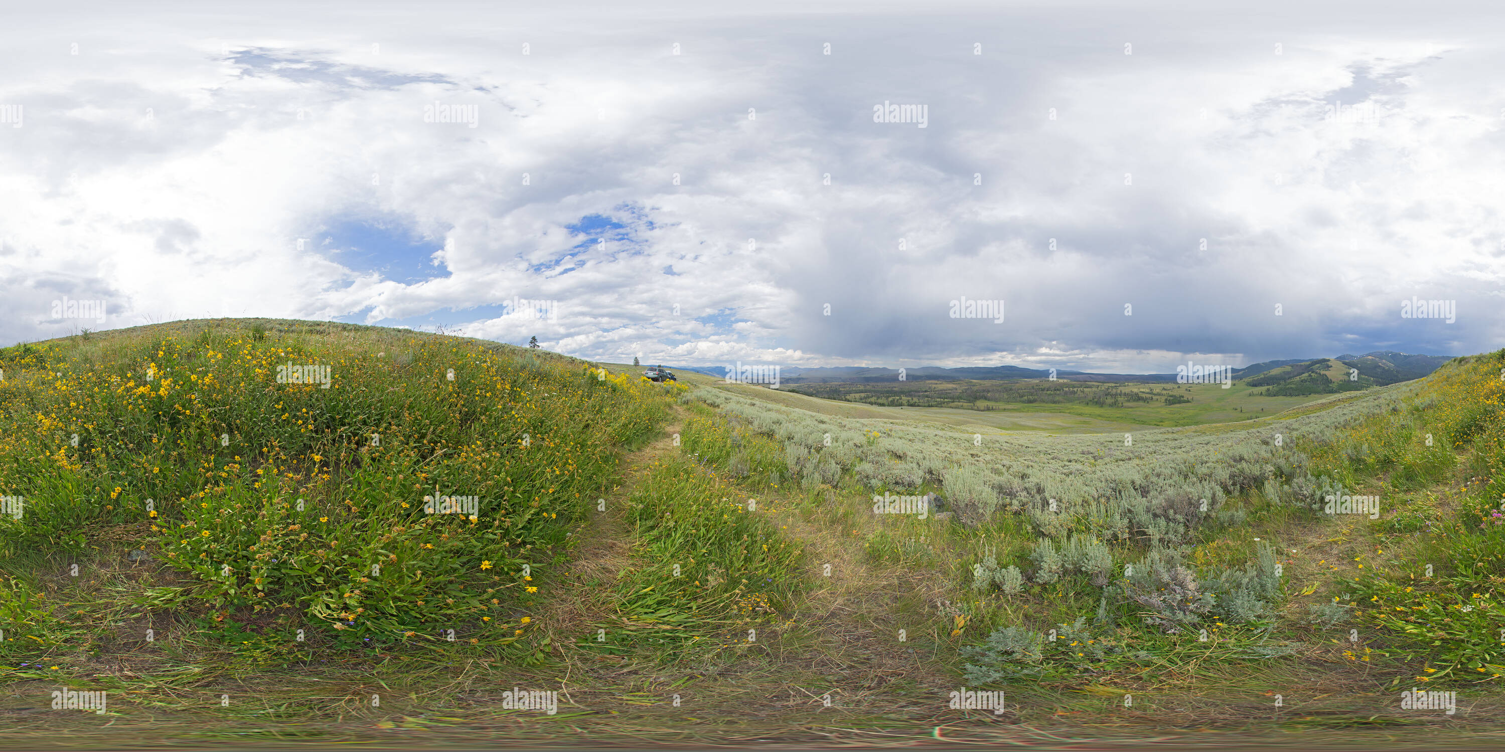360° view of Sweeping views north of Dunraven Pass - Alamy