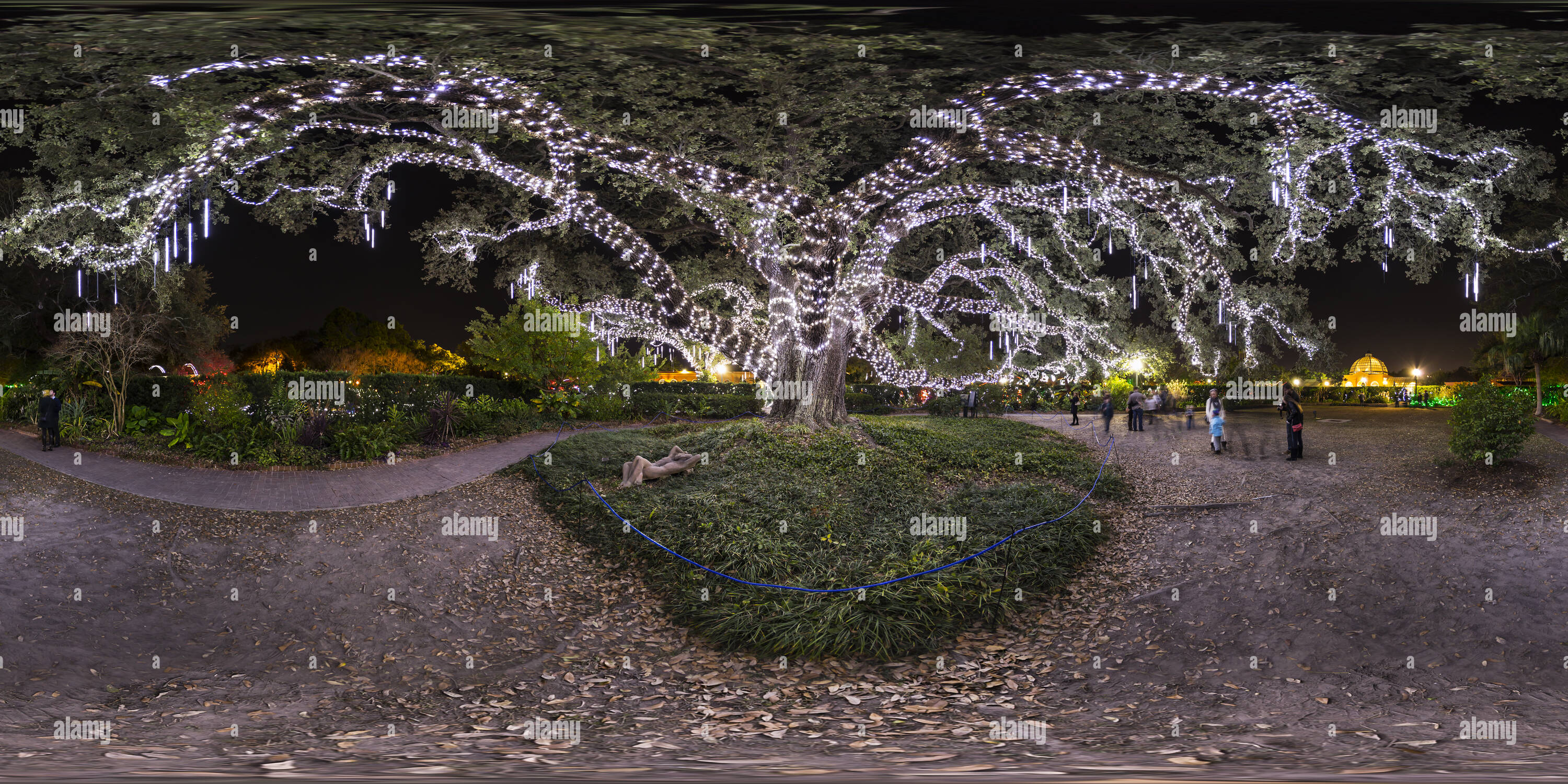 360° view of Live Oak in Christmas Lights, New Orleans, Louisiana Alamy