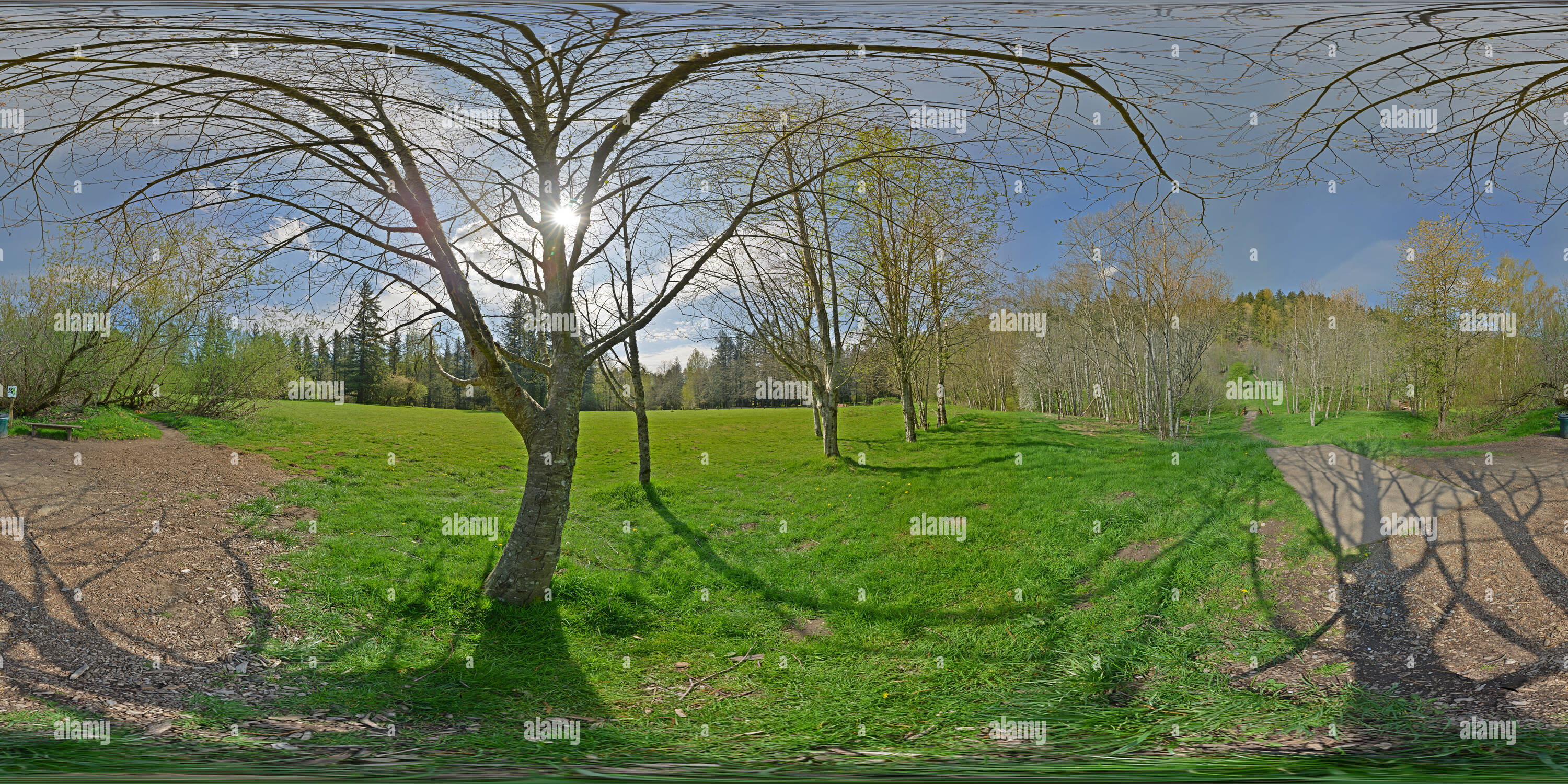 360° view of DGC Dabney Disc Golf Course hole 5 Alamy