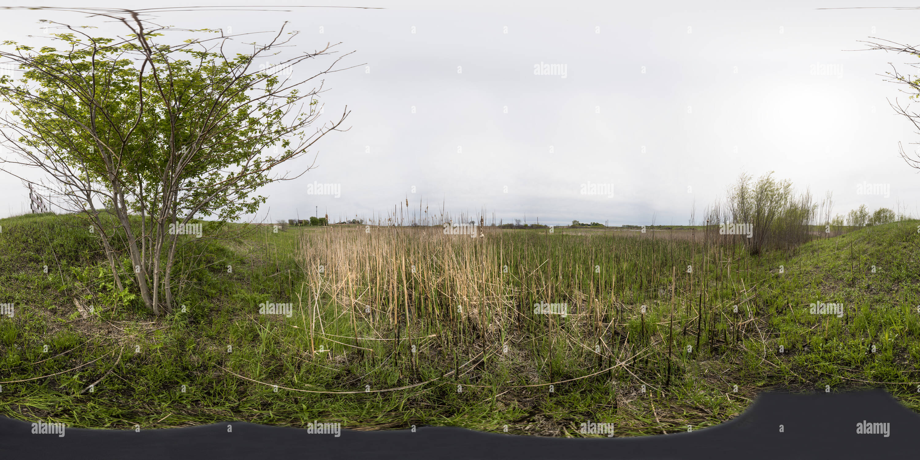 360° view of Engeldinger Marsh. Farrar, Iowa Alamy