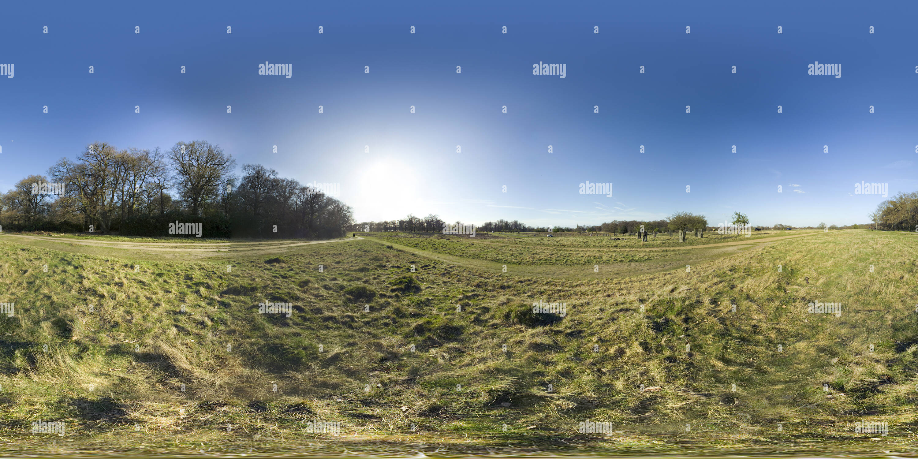 360° view of Richmond Park - Sawyers Hill - Alamy