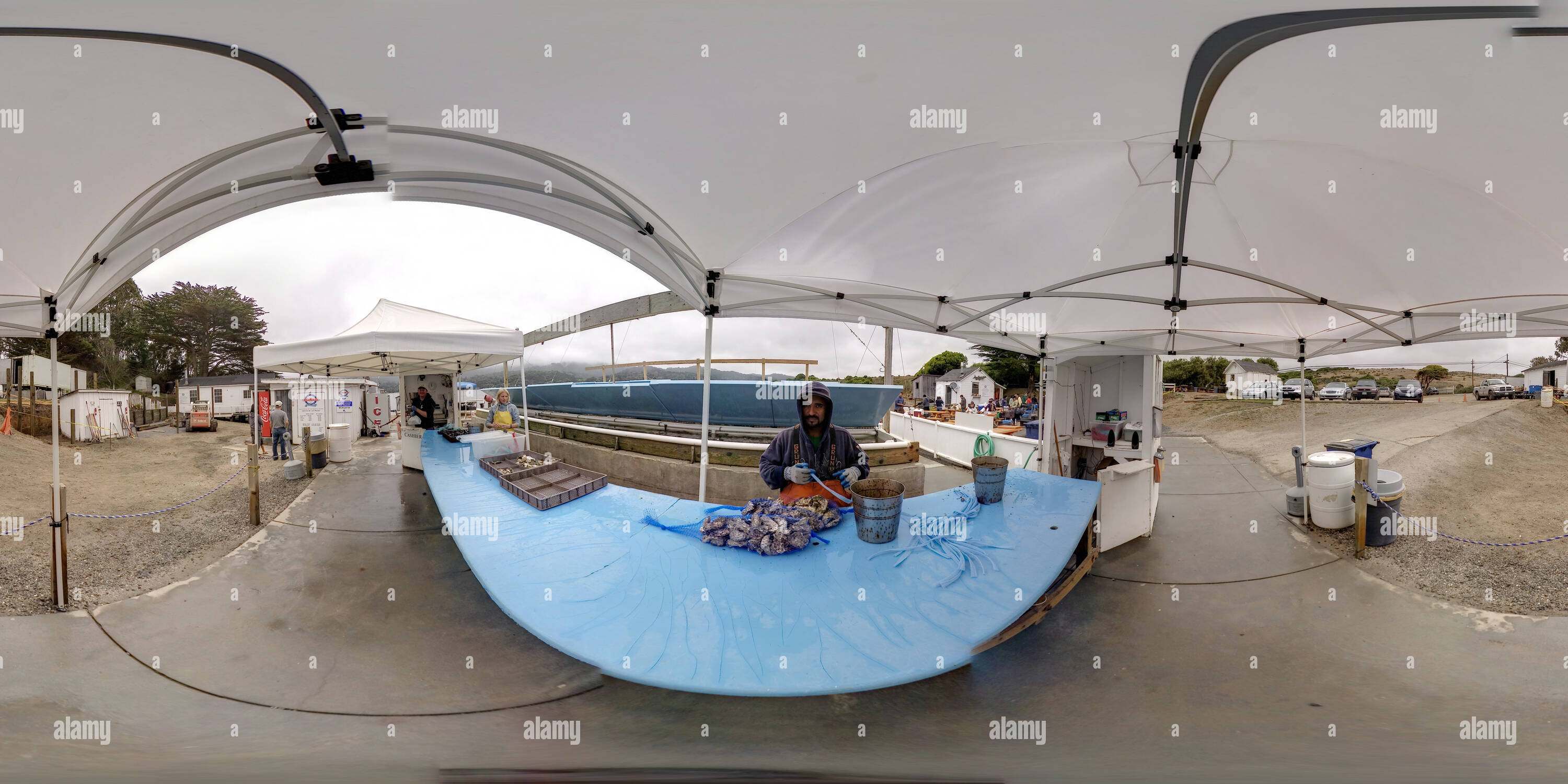 360° view of Tomales Bay Oyster Company 4 Alamy