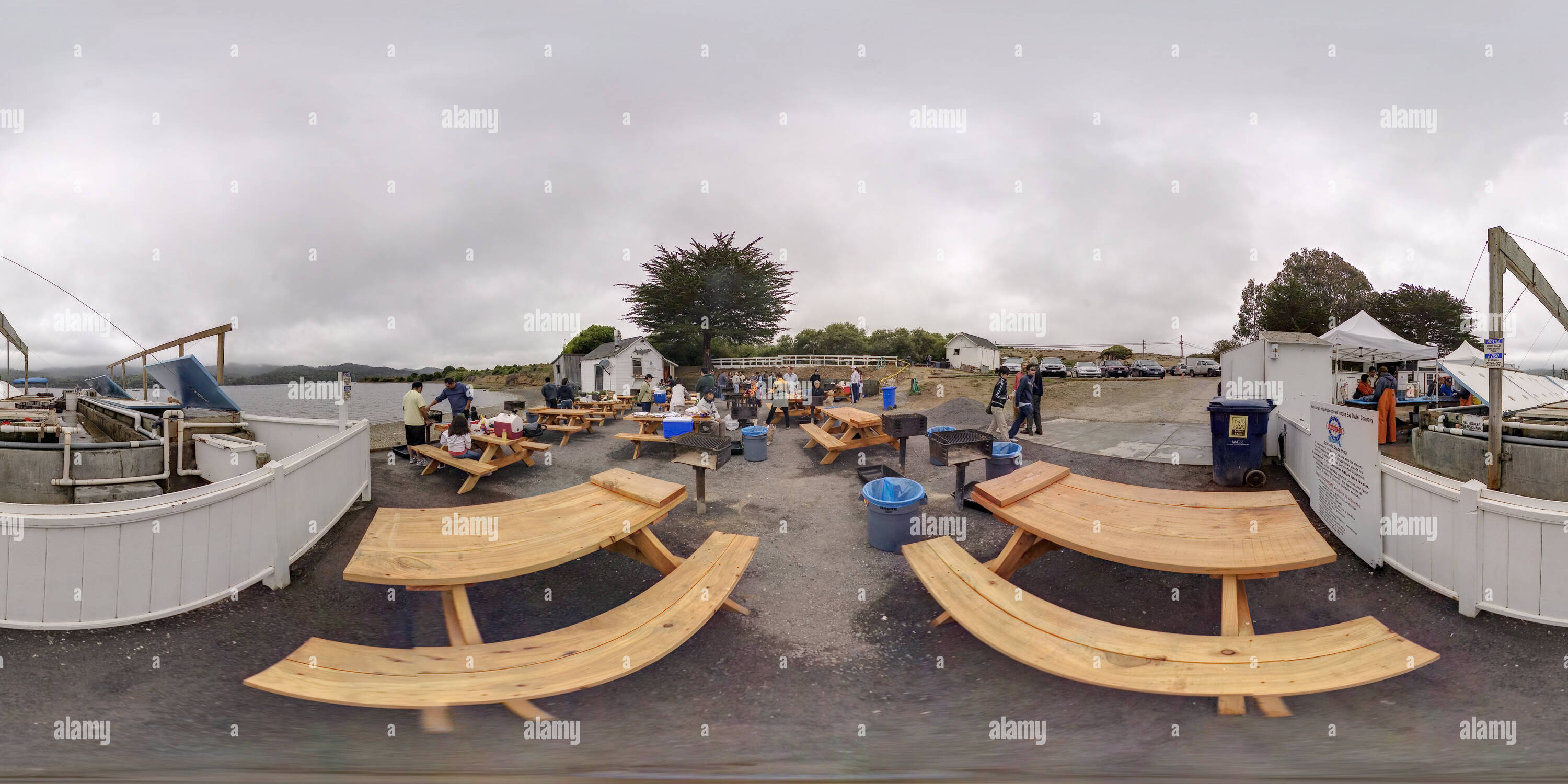 360° view of Tomales Bay Oyster Company 7 Alamy