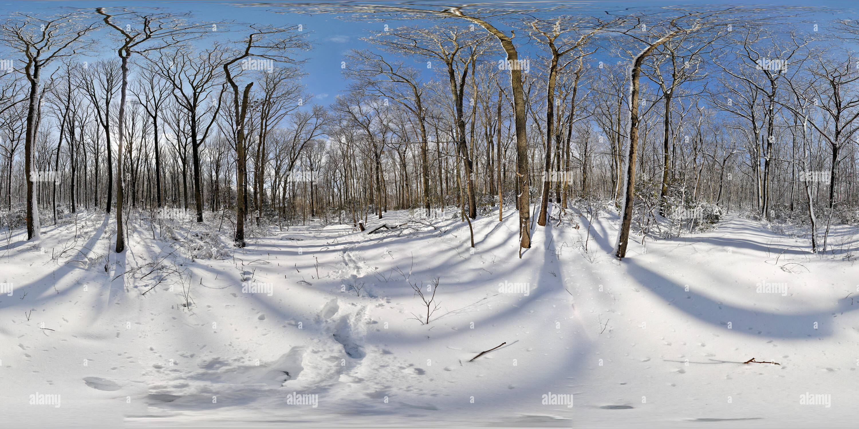 360° view of Eye of the Snow Storm, Hartshorne Woods, New Jersey Alamy