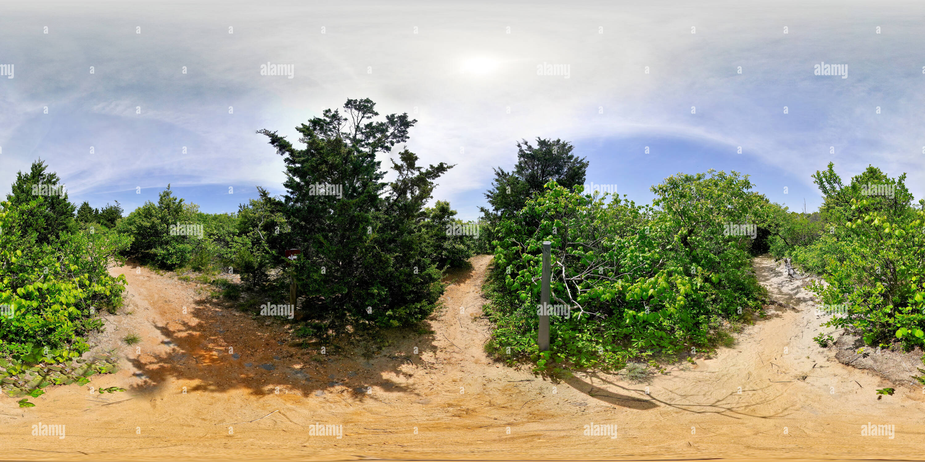 360 degree panoramic view of Old Dunes Trail, Sandy Hook, New Jersey
