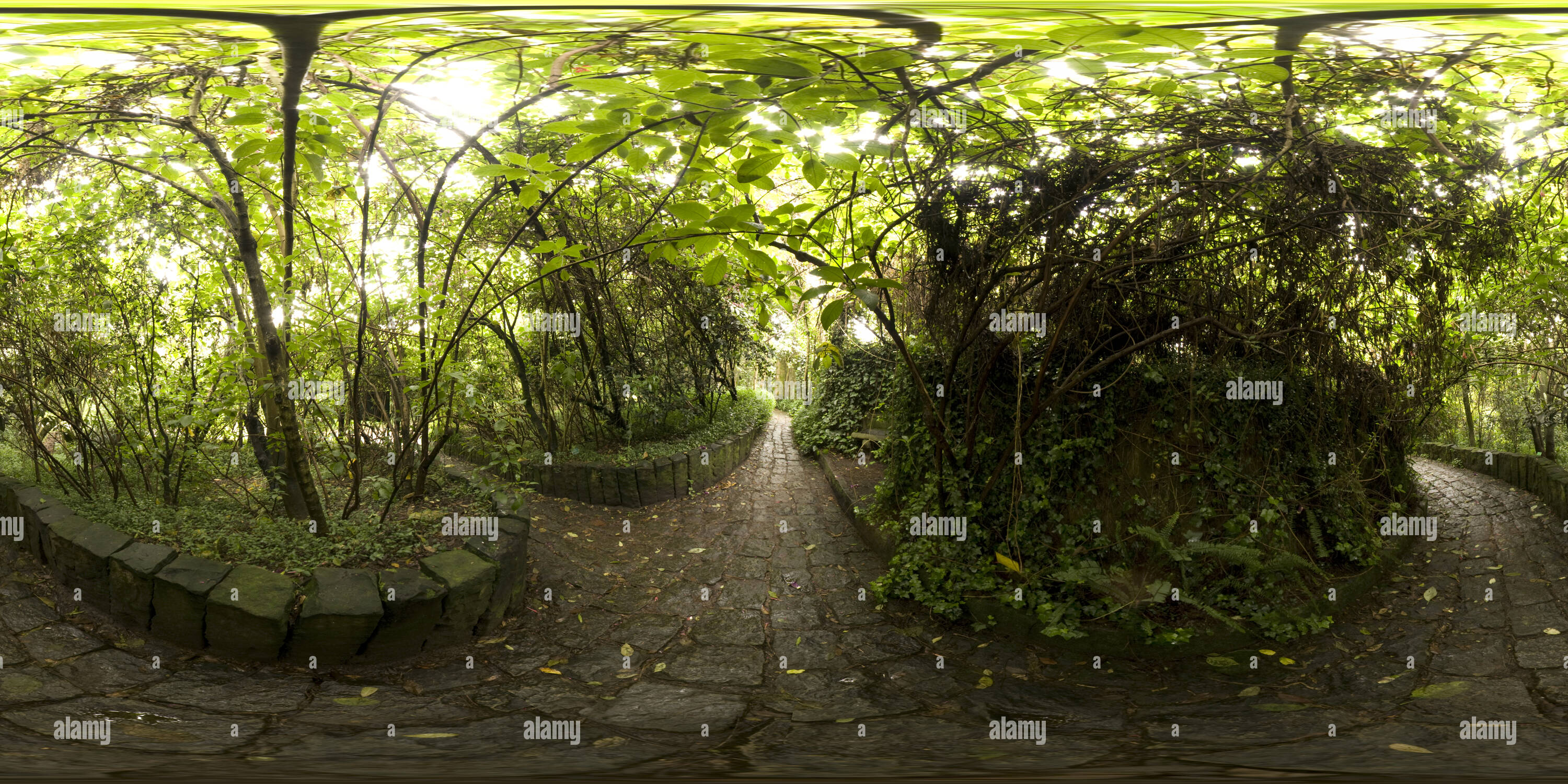 360 degree panoramic view of Botanical garden - Bogotá, Colombia