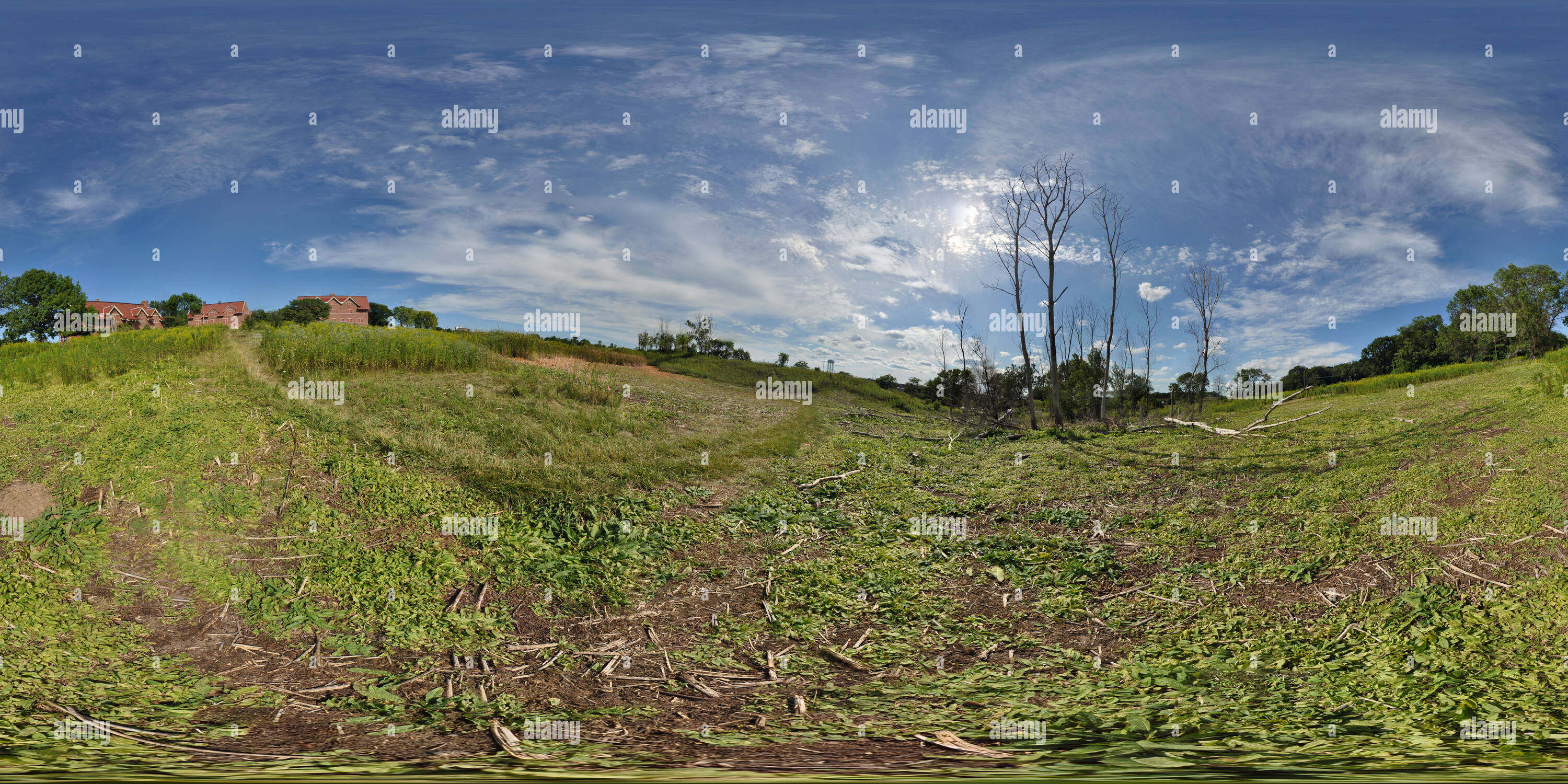 360° view of The Monarch Glen - The Monarch Trail - Alamy 