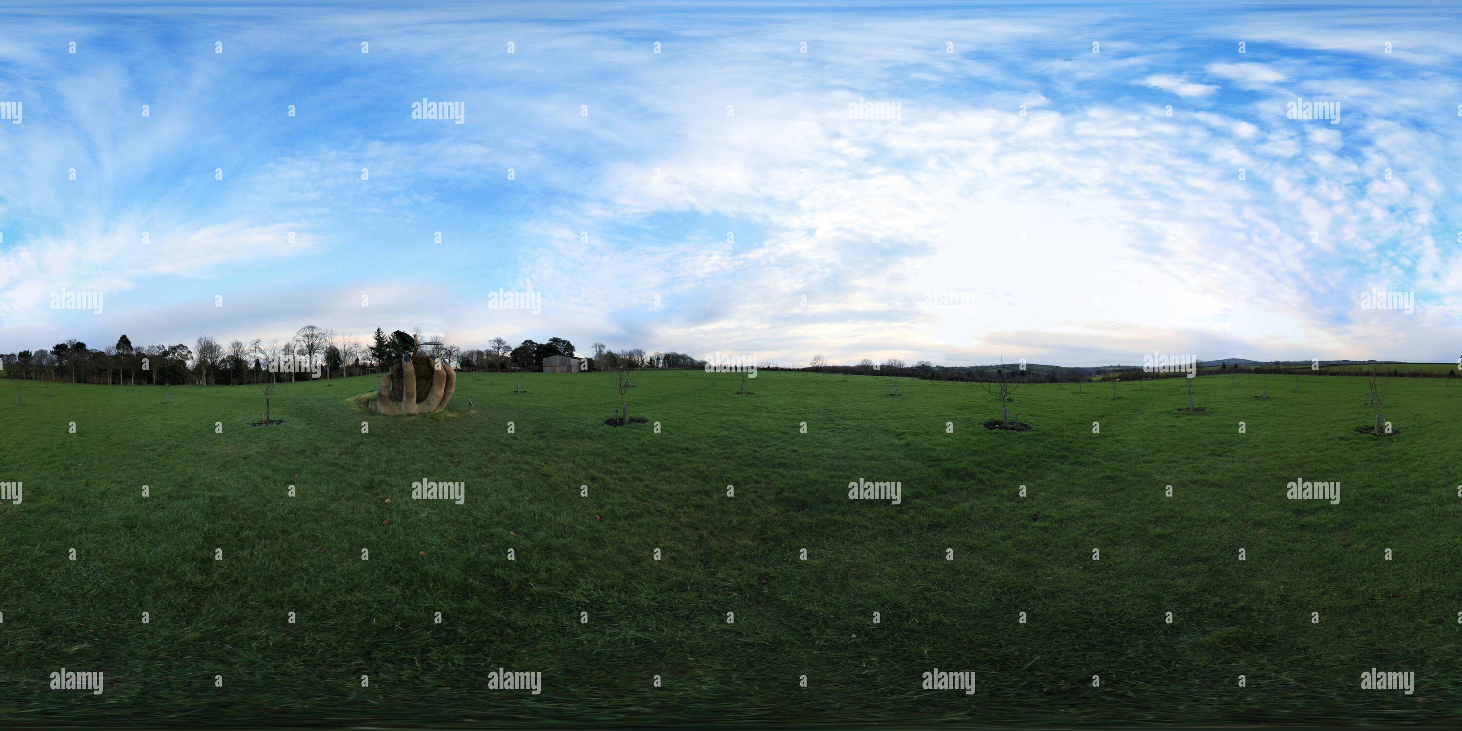 360 degree panoramic view of Cotehele Mother Orchard
