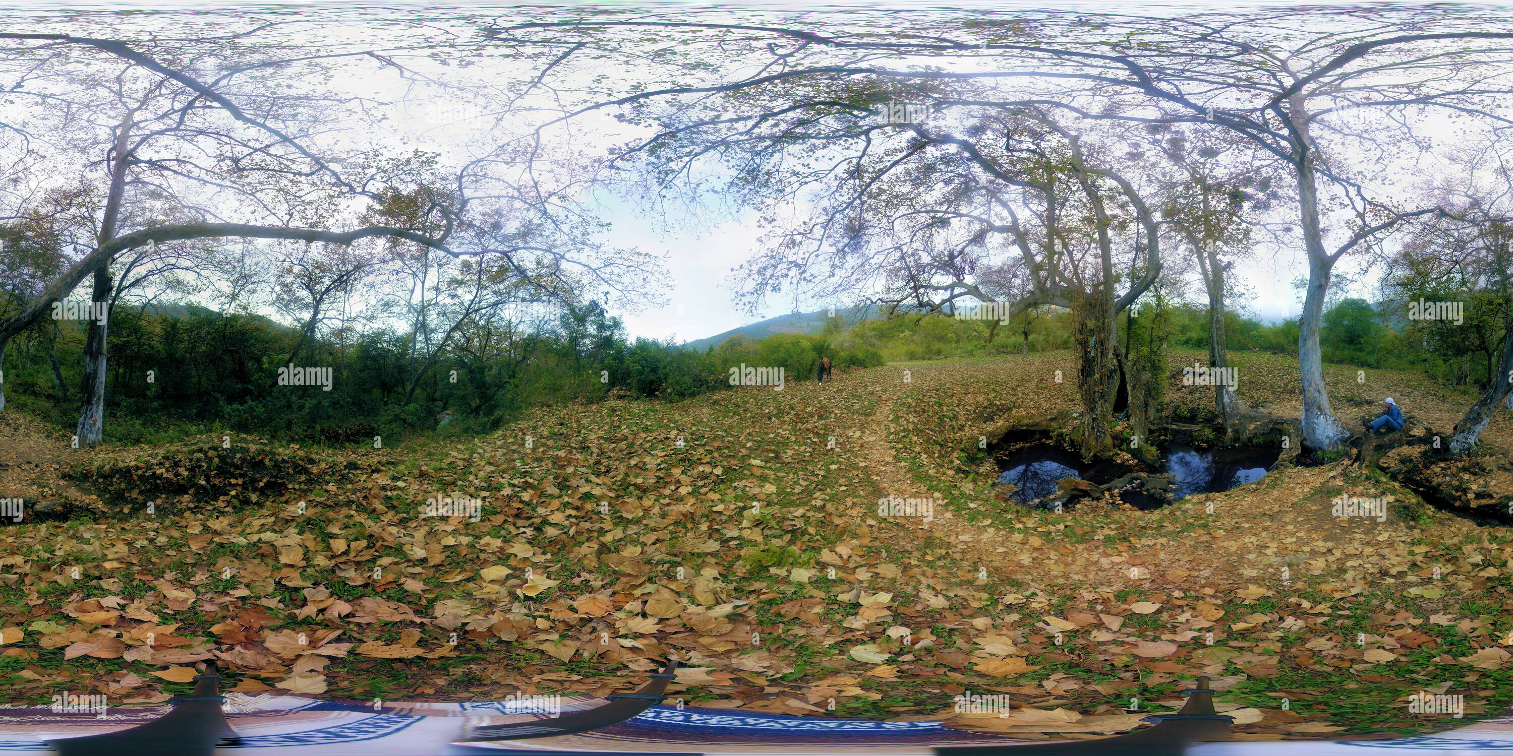 Tecamalucan hires stock photography and images Alamy