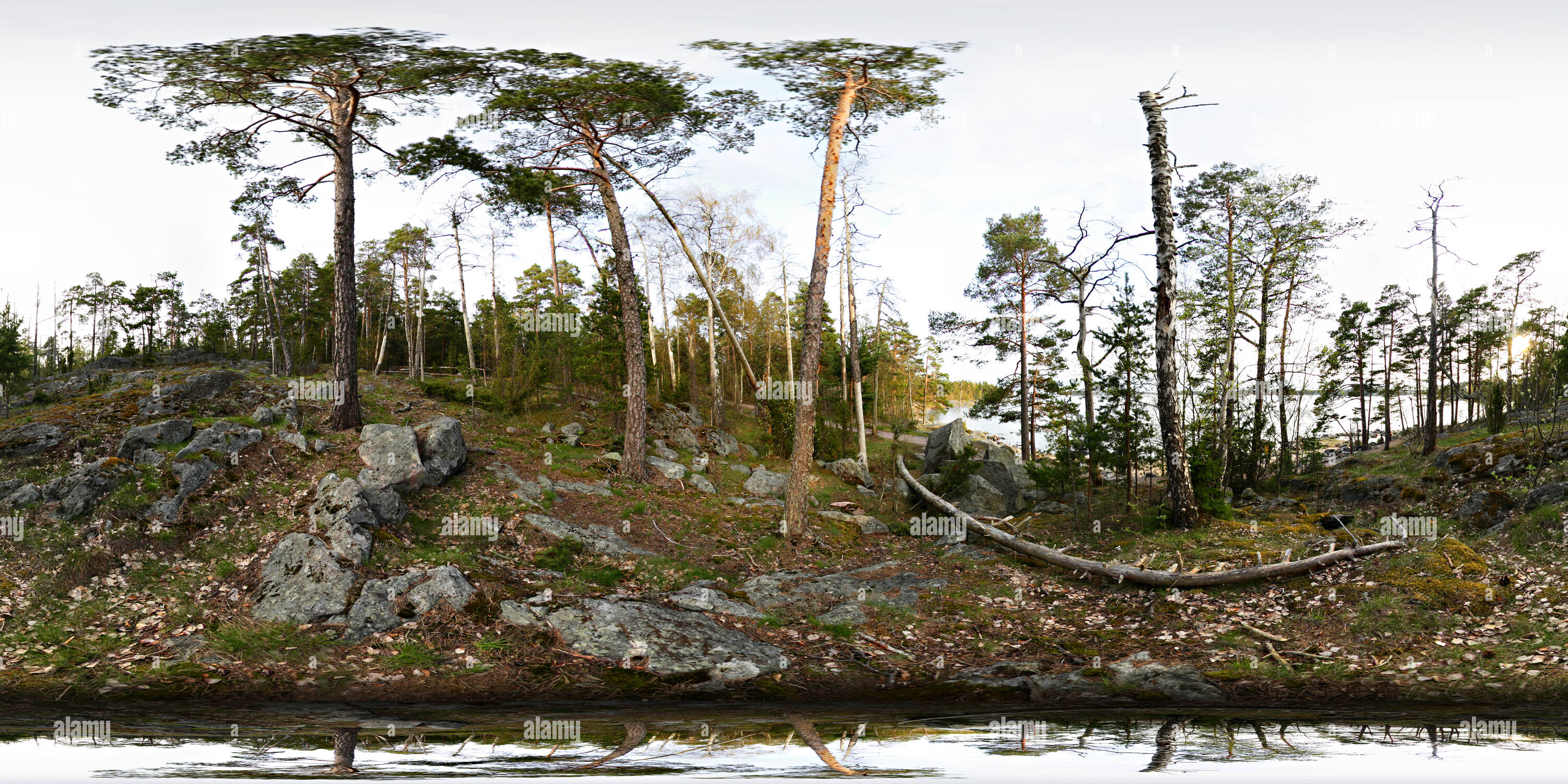 360° view of Rocky forest at south end of Uutela Alamy