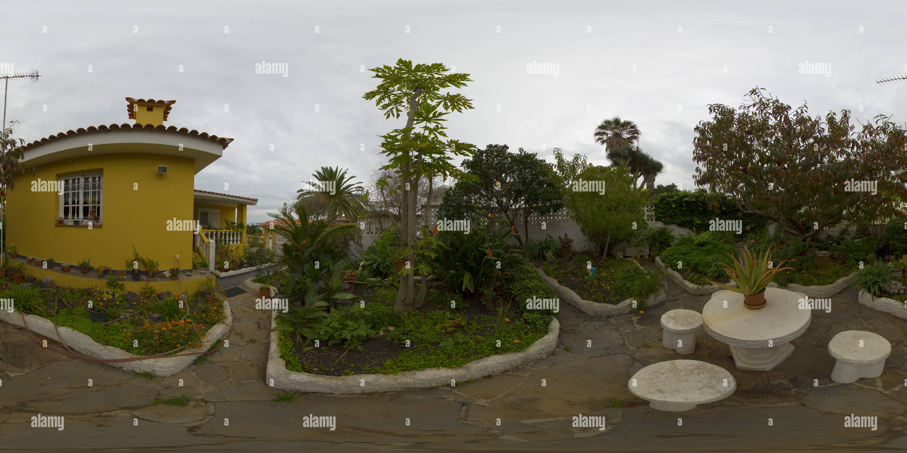 360° view of Private garden in Tacoronte, Tenerife island. Canary Island Alamy