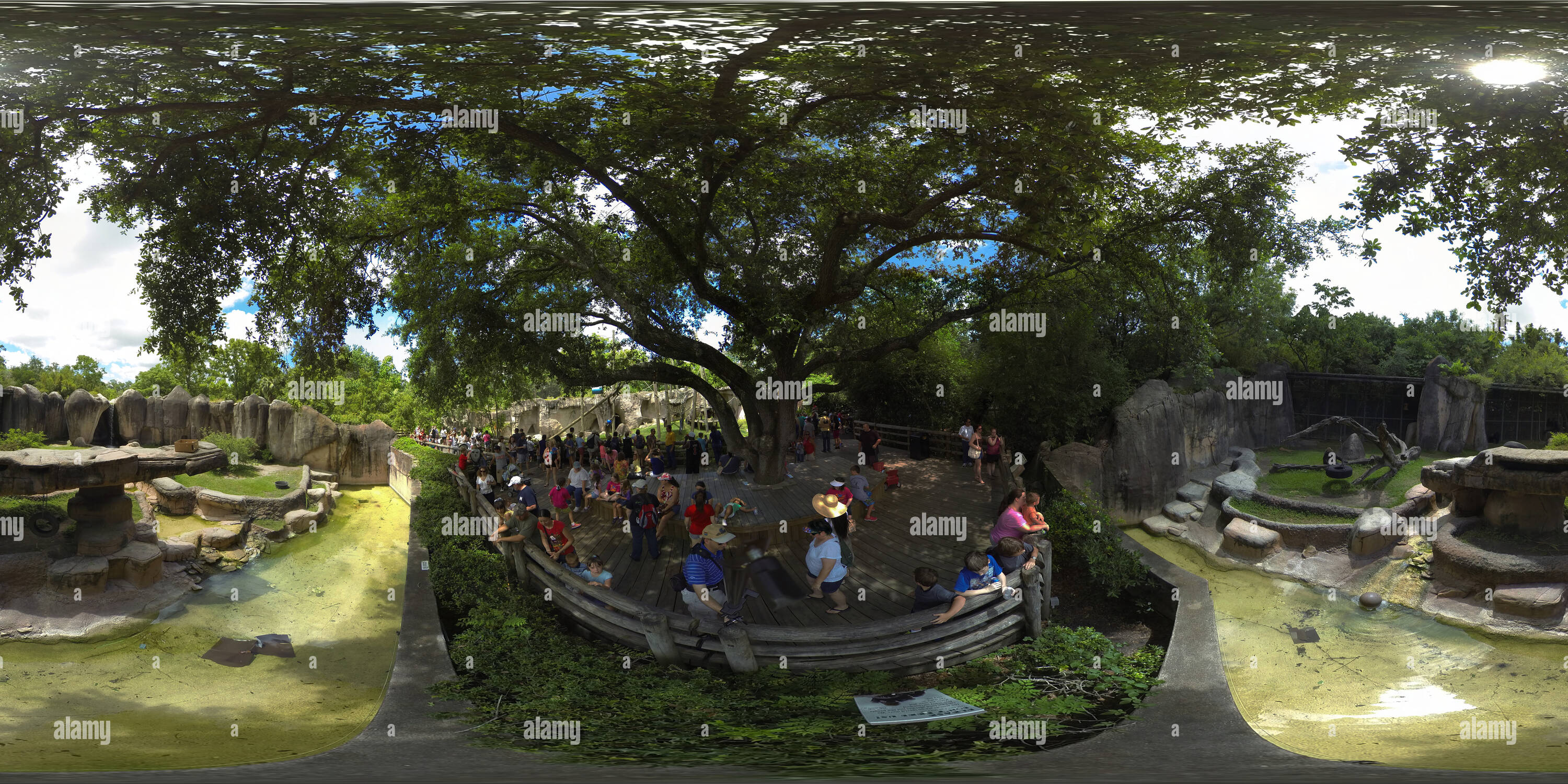 360° View Of Audubon Zoo New Orleans Alamy