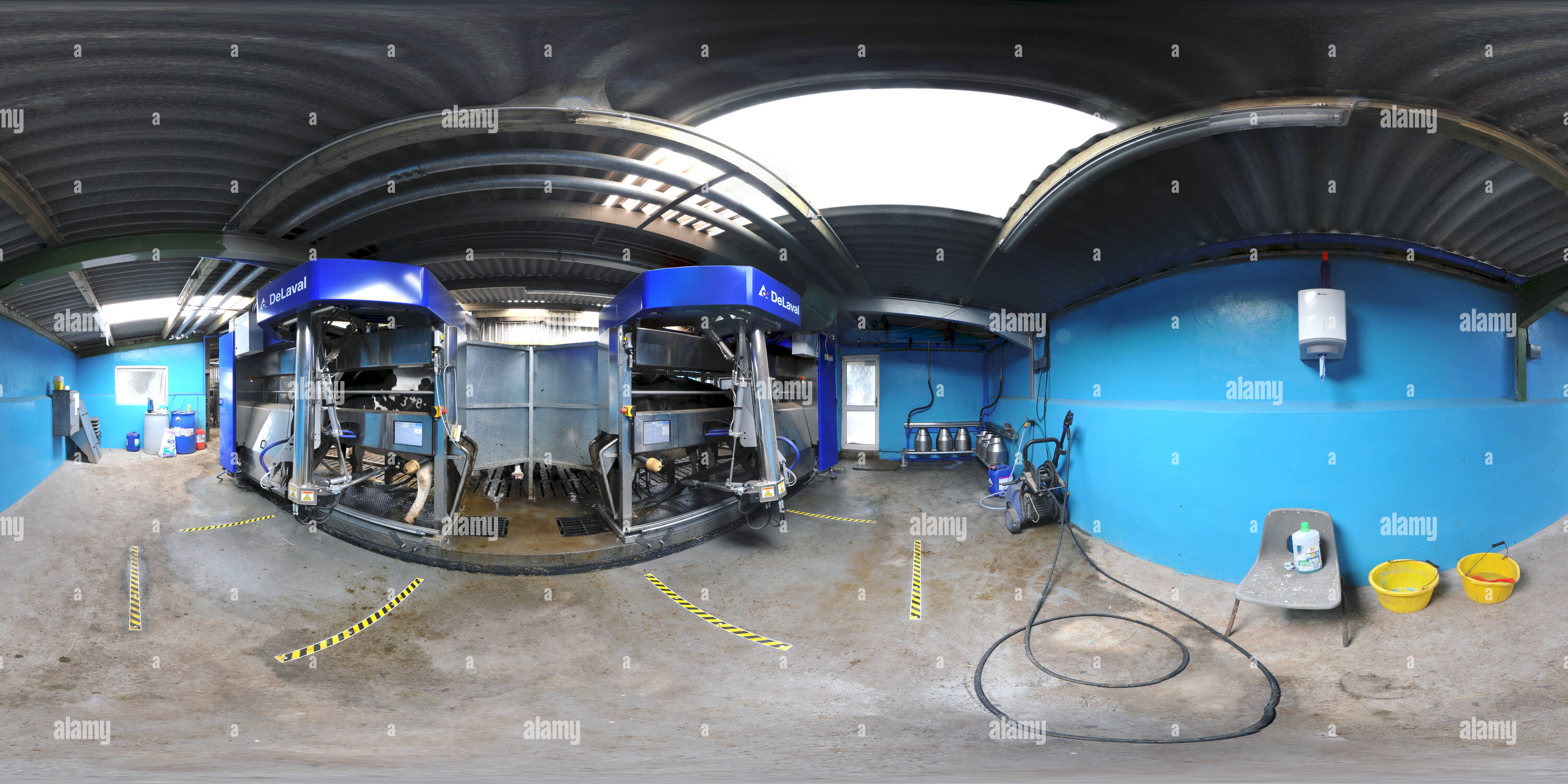 360° view of Robot milking parlour at Orway Farm, Devon - Alamy