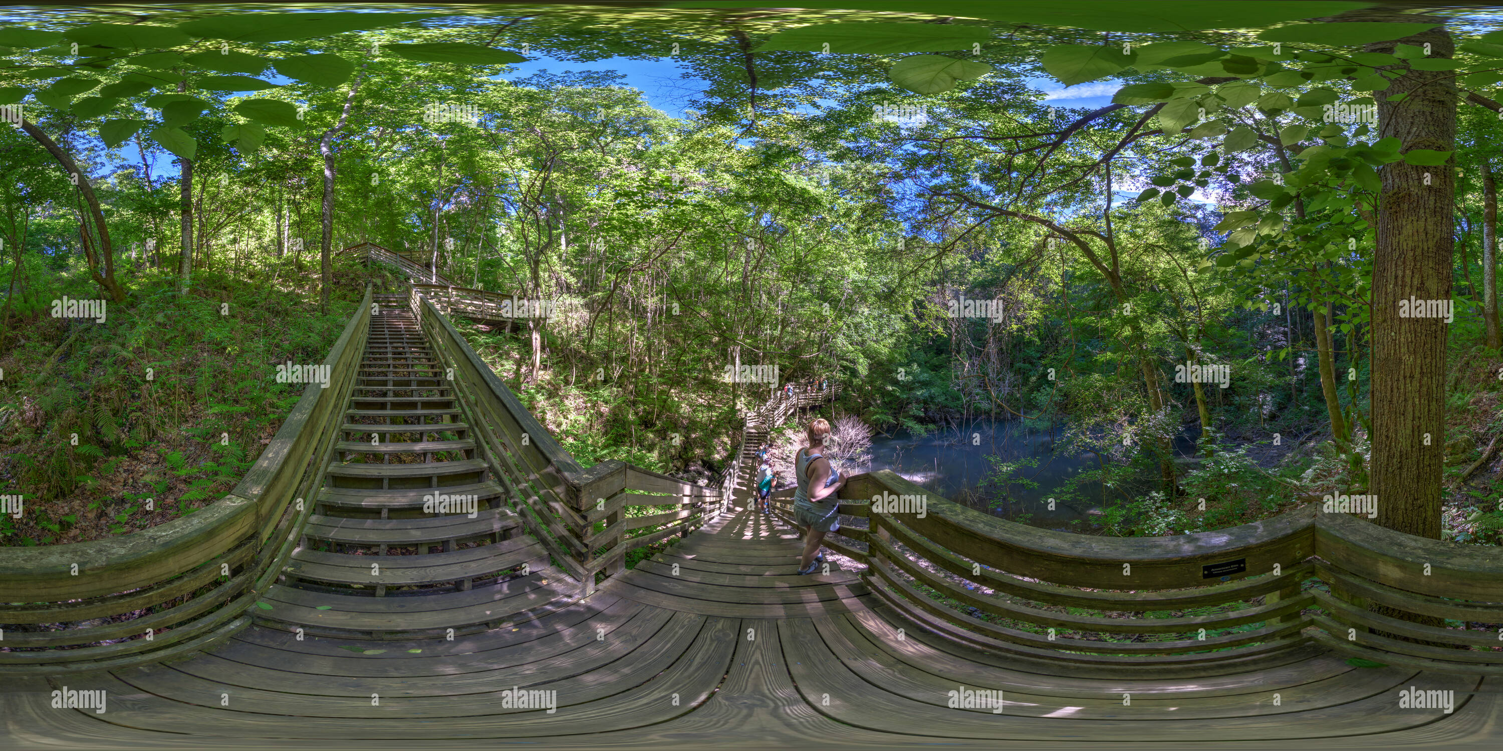 360° view of Devils Millhopper Gainesville Florida Boardwalk Alamy