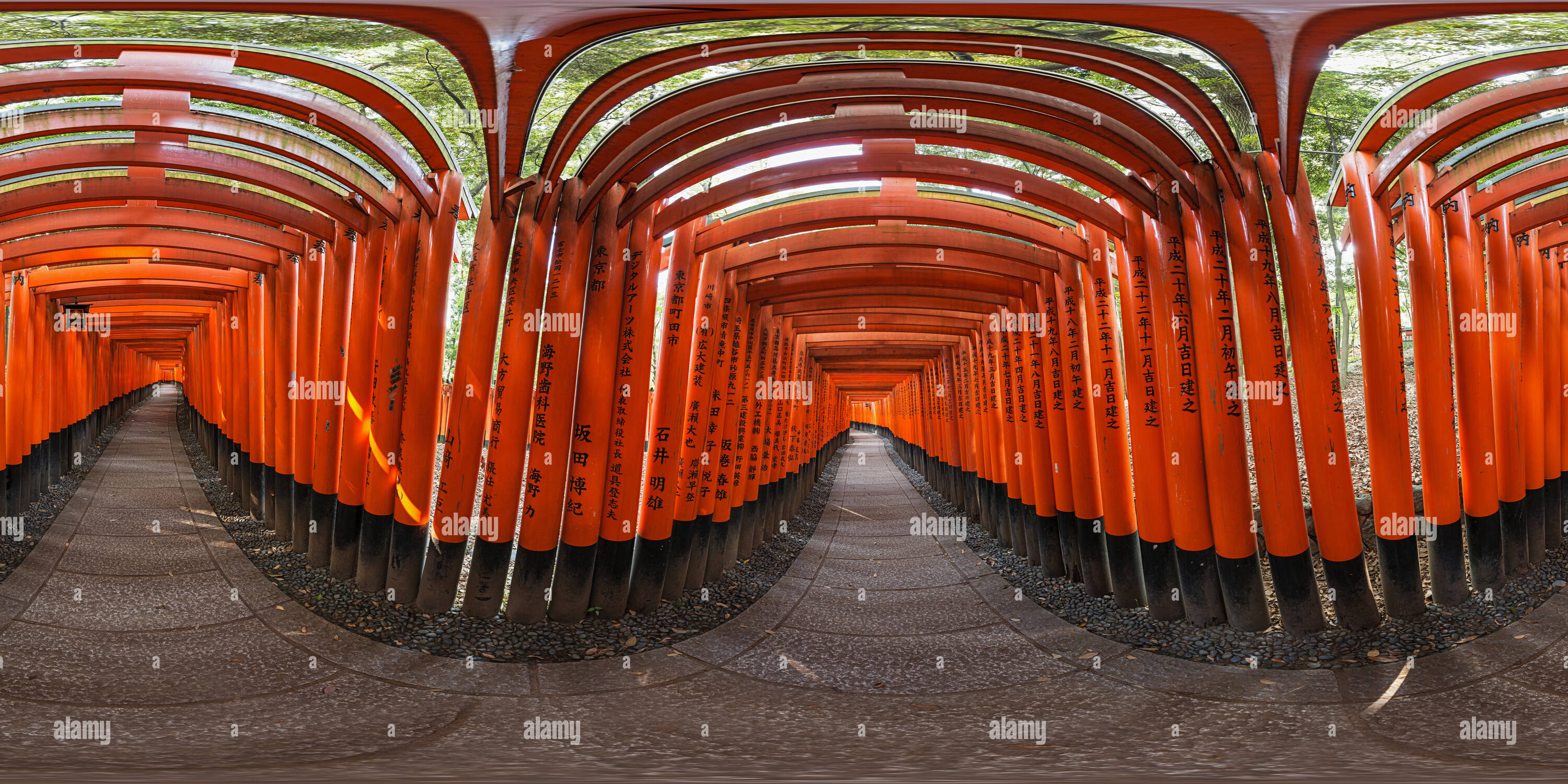 360° view of thousand vermilion torii gates, Kyoto Alamy