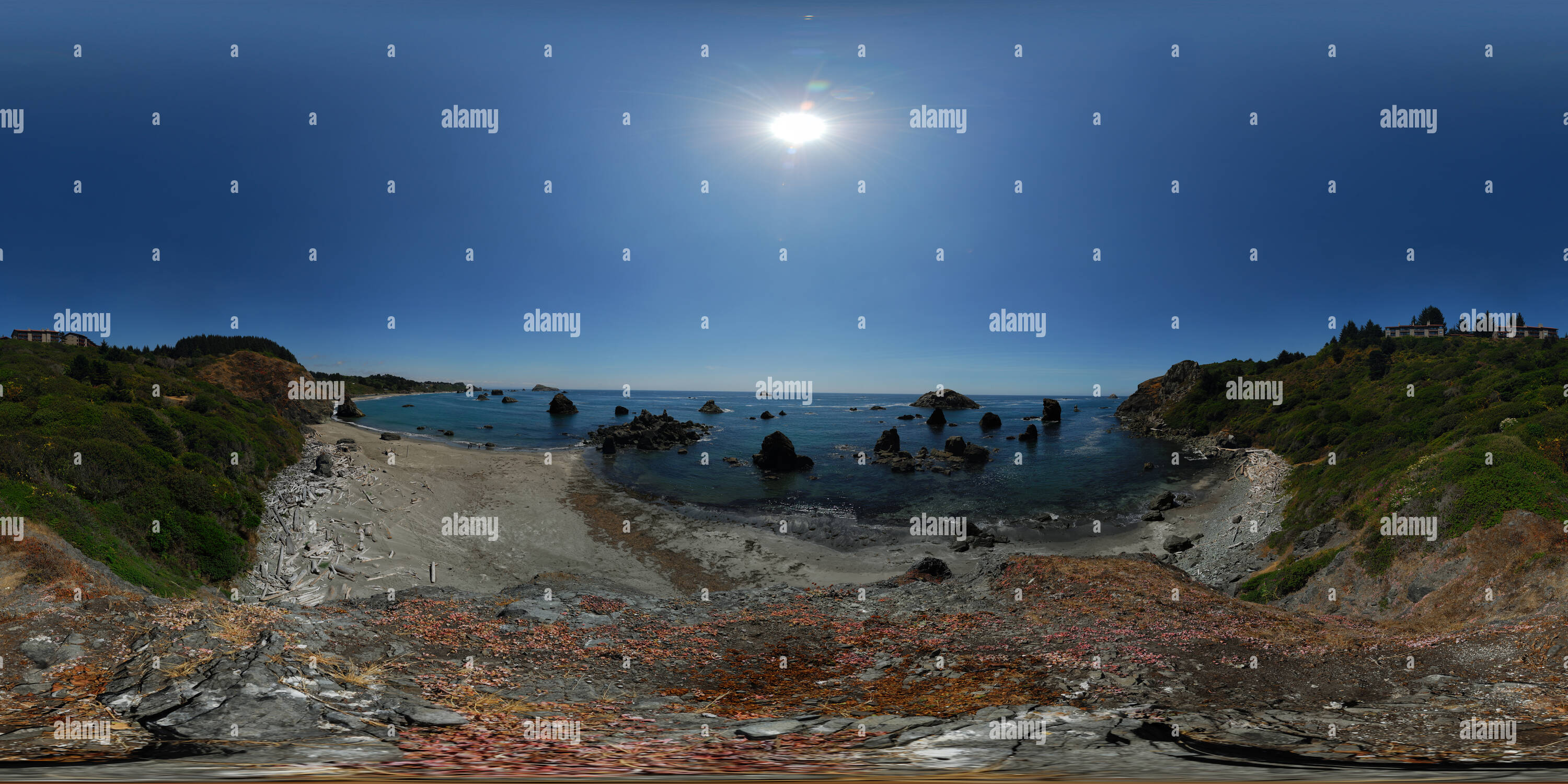 360° view of Rainbow Beach, Brookings, Oregon, USA Alamy