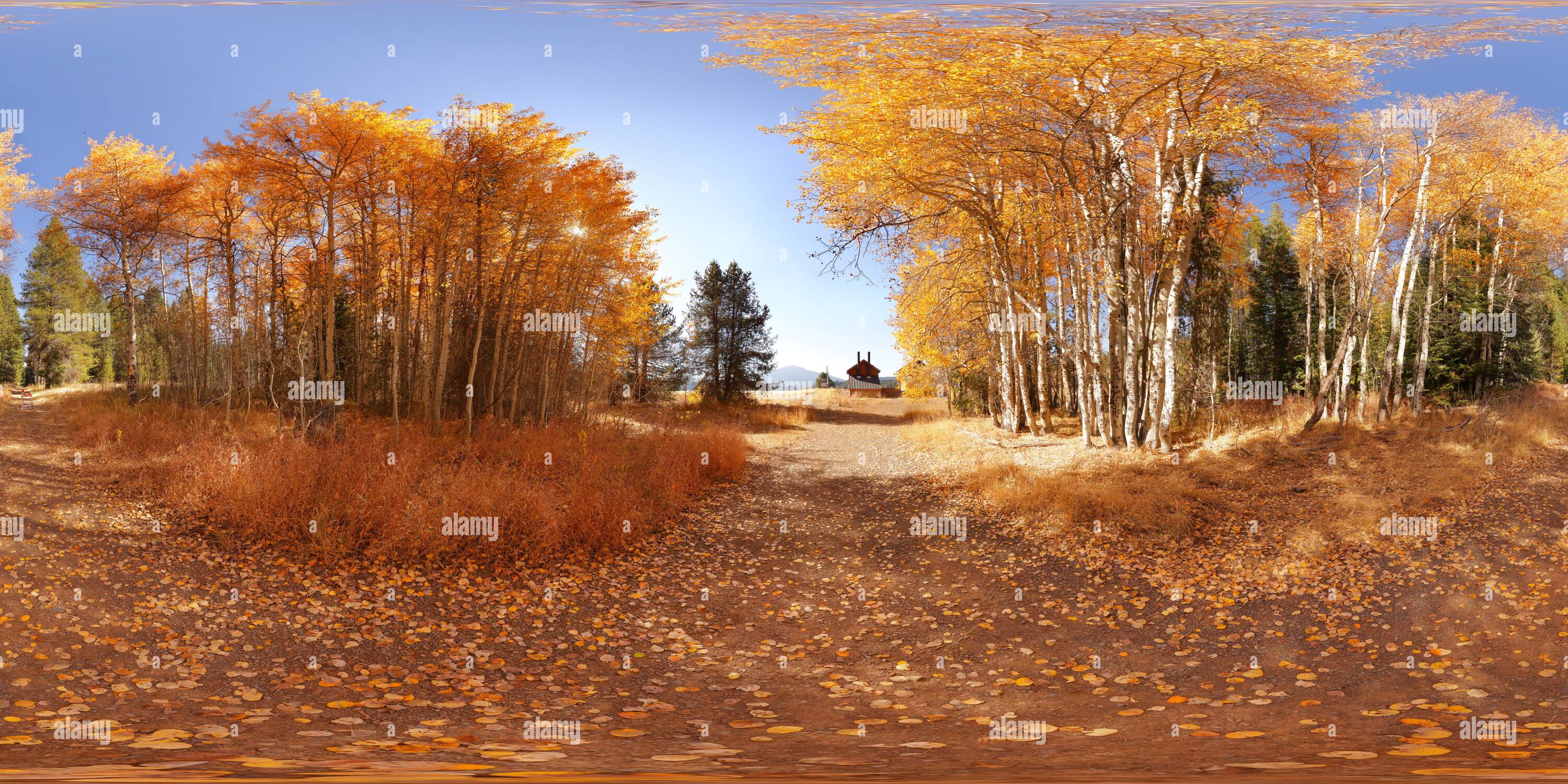 360 degree panoramic view of Great Meadow Sno-Park aspens [2]